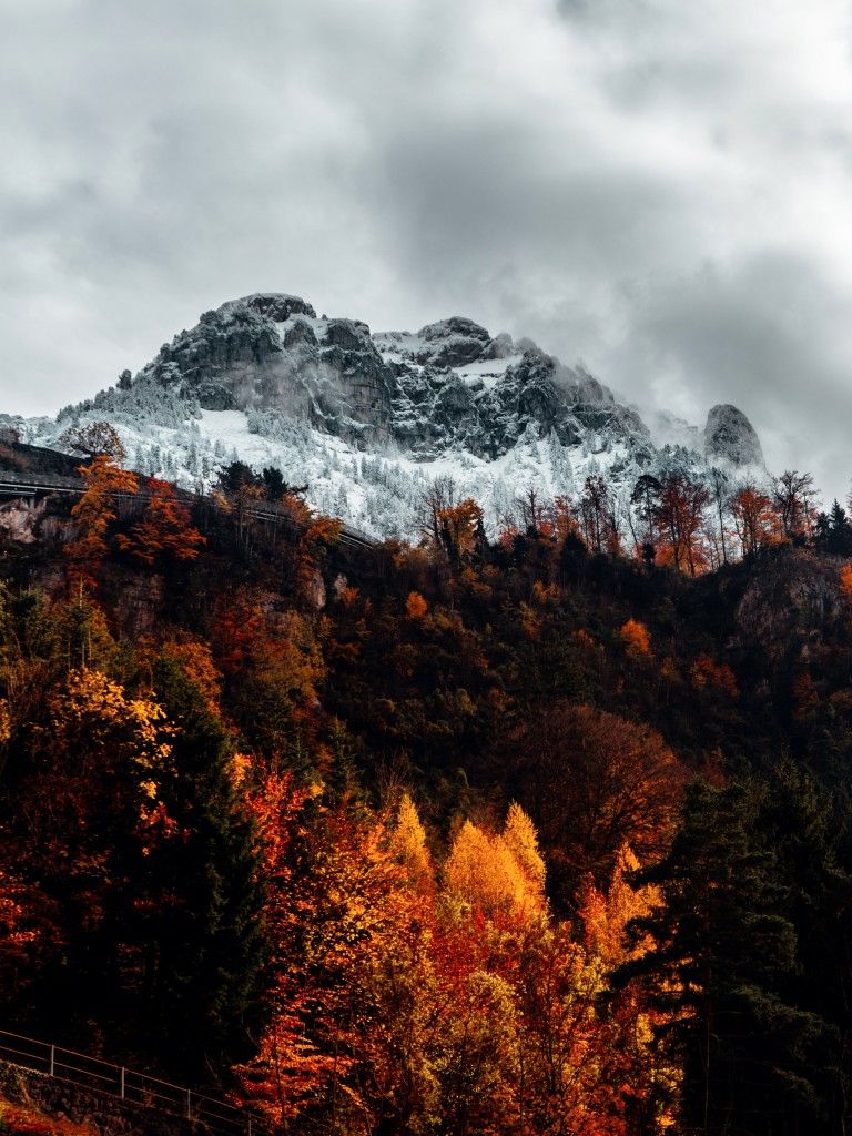 Alps 4K Wallpaper, Autumn, mountains, Forest, Wilderness, Landscape, Switzerland, 5K, Nature