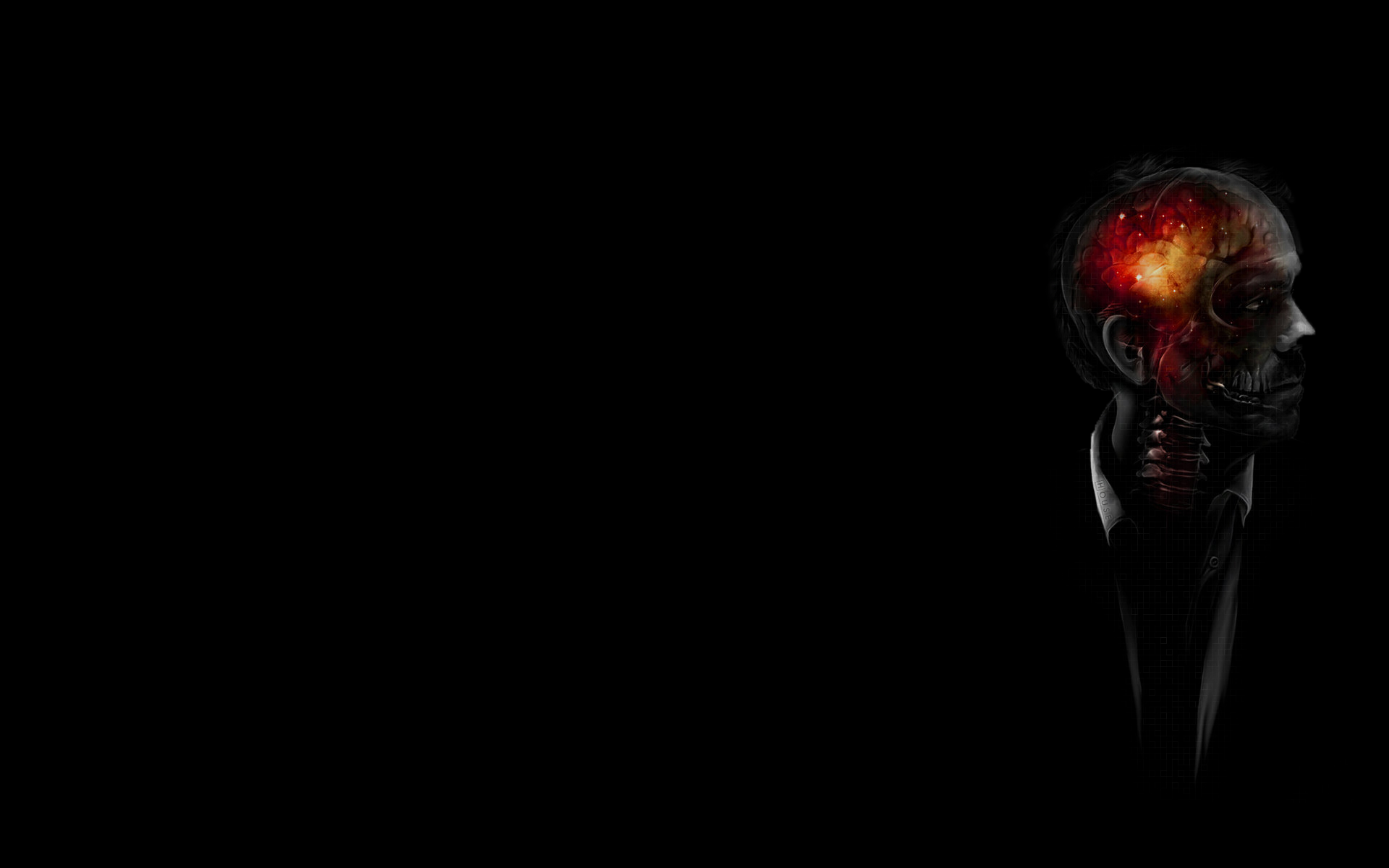 brain, Black, Skull, Skeleton, Skeletons, Skulls, Horror, Macabre Wallpaper HD / Desktop and Mobile Background