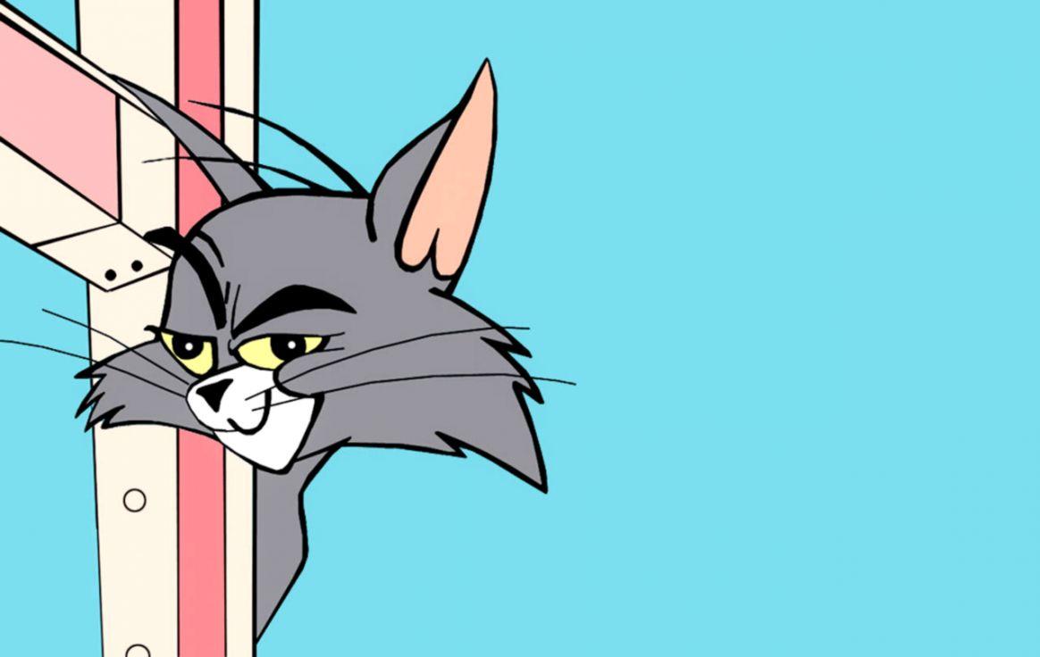 Tom and jerry notification Wallpapers Download  MobCup