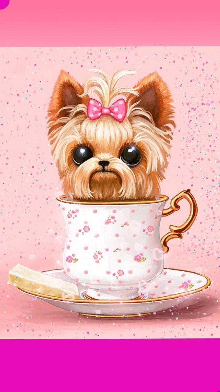 Yorkie dog teacup wallpaper
