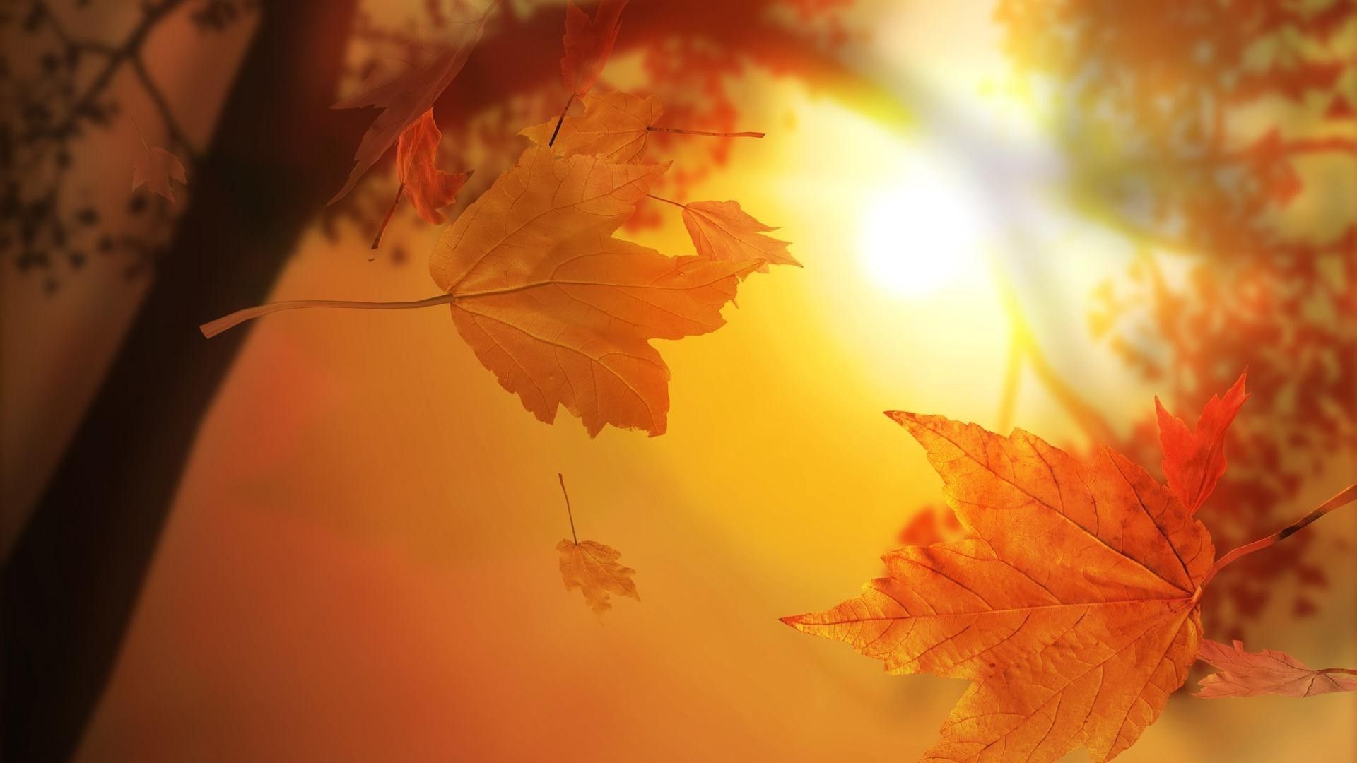 Abstract Autumn Leaves Wallpapers - Wallpaper Cave