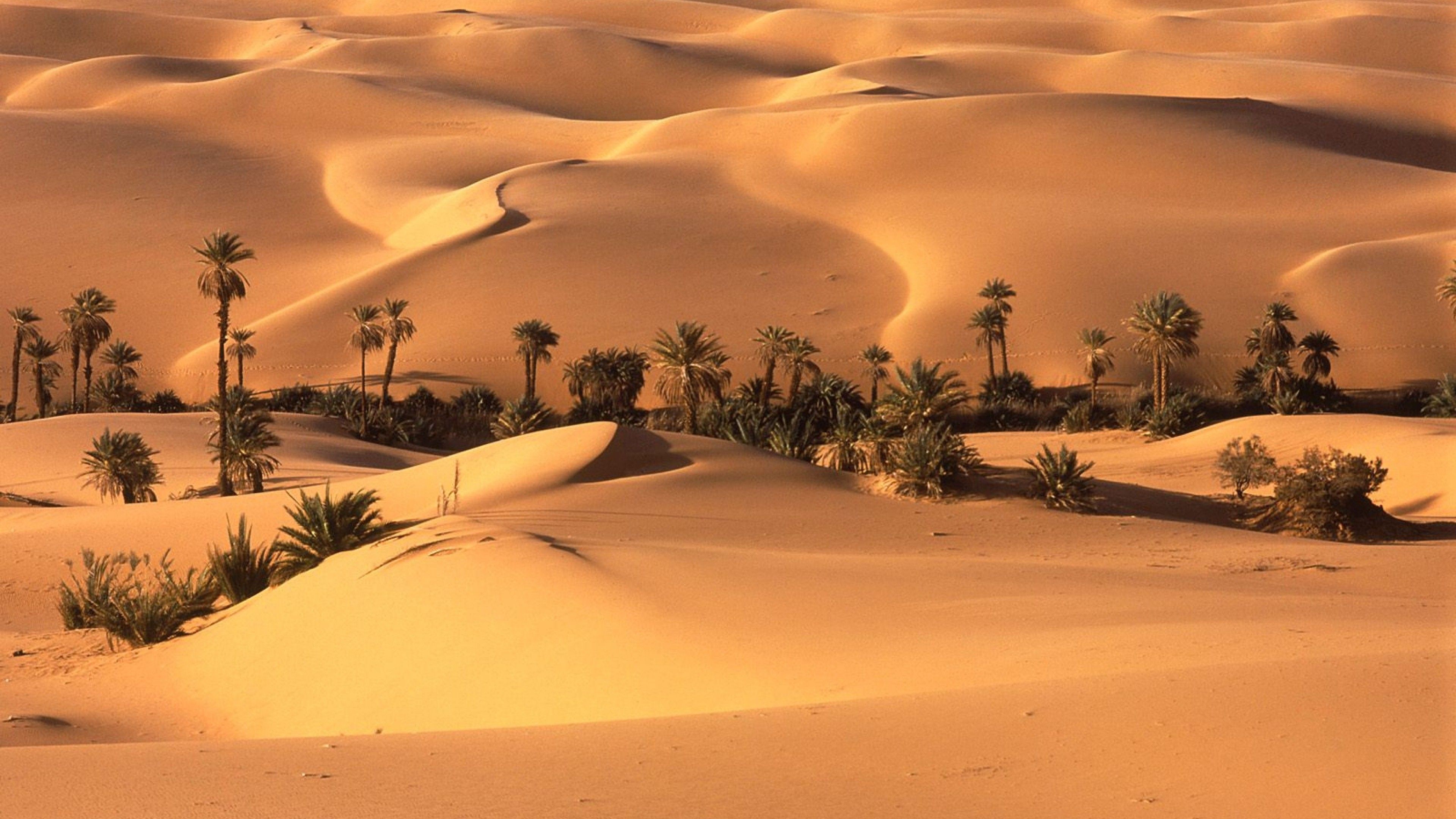 Beautiful Sahara Desert North Africa Wallpaper Desert Safari HD Wallpaper