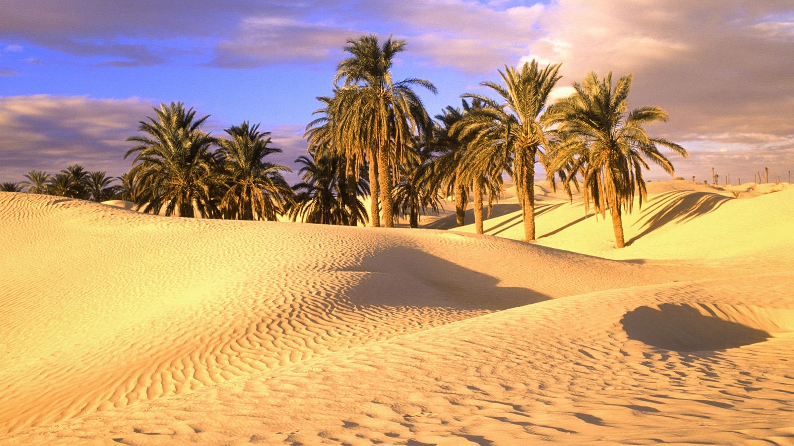 Free download Sahara Desert HD Wallpaper [1600x1200] for your Desktop, Mobile & Tablet. Explore Sahara Wallpaper. Sahara Desert Wallpaper, Desert Wallpaper HD, Jeep Sahara Wallpaper