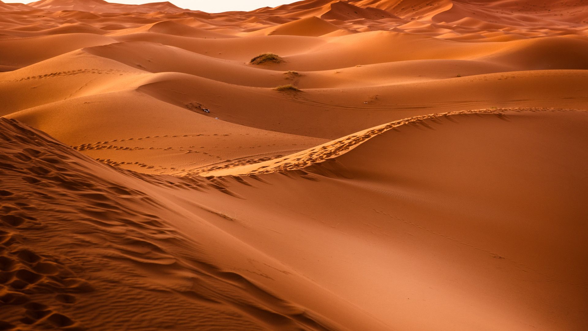 Download wallpaper: Sahara Desert 1920x1080