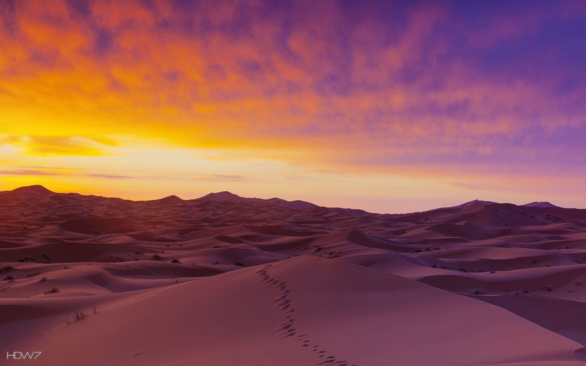 sahara desert background