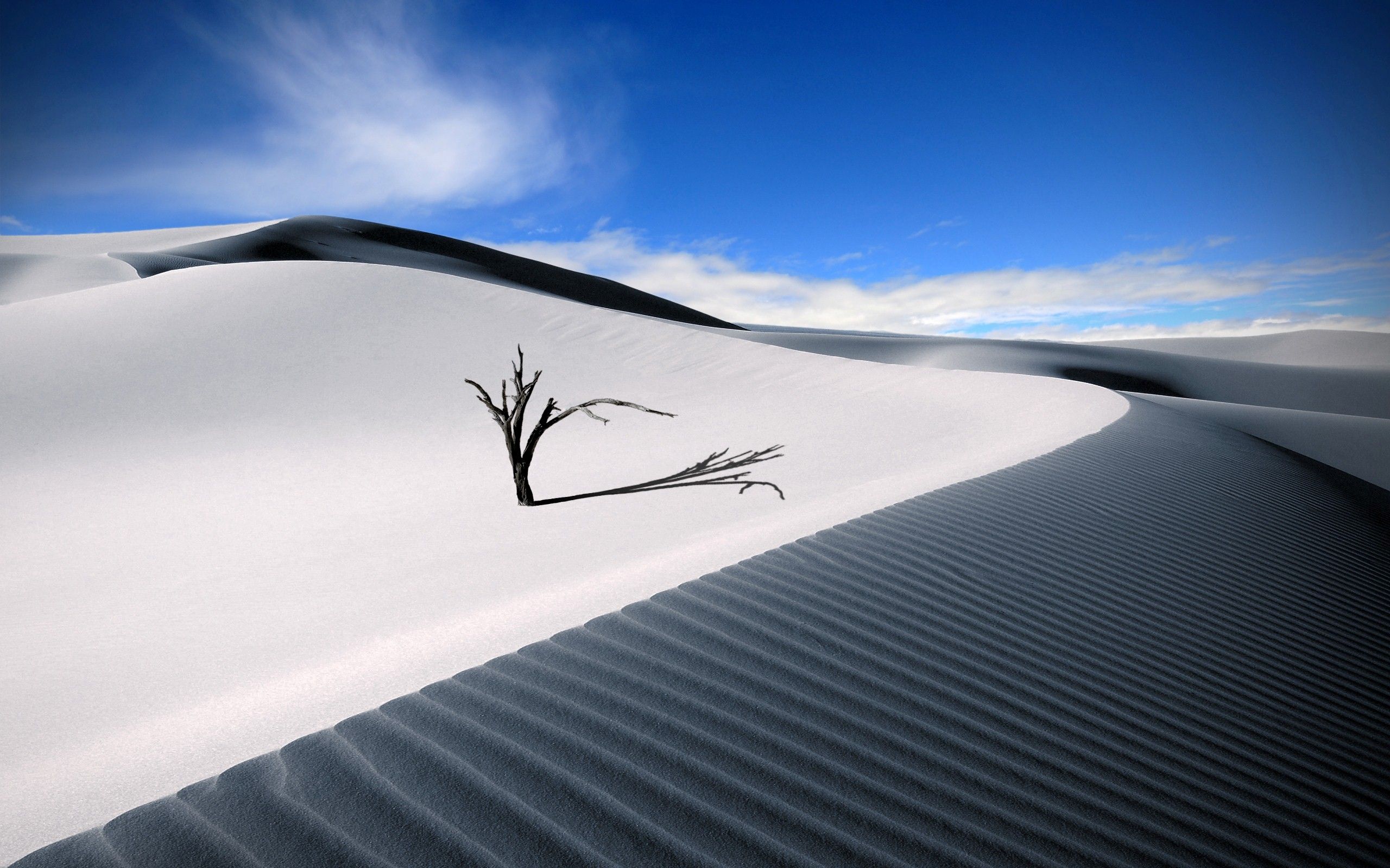 Download 2560x1600 Sahara White Largest Desert HD Wallpaper