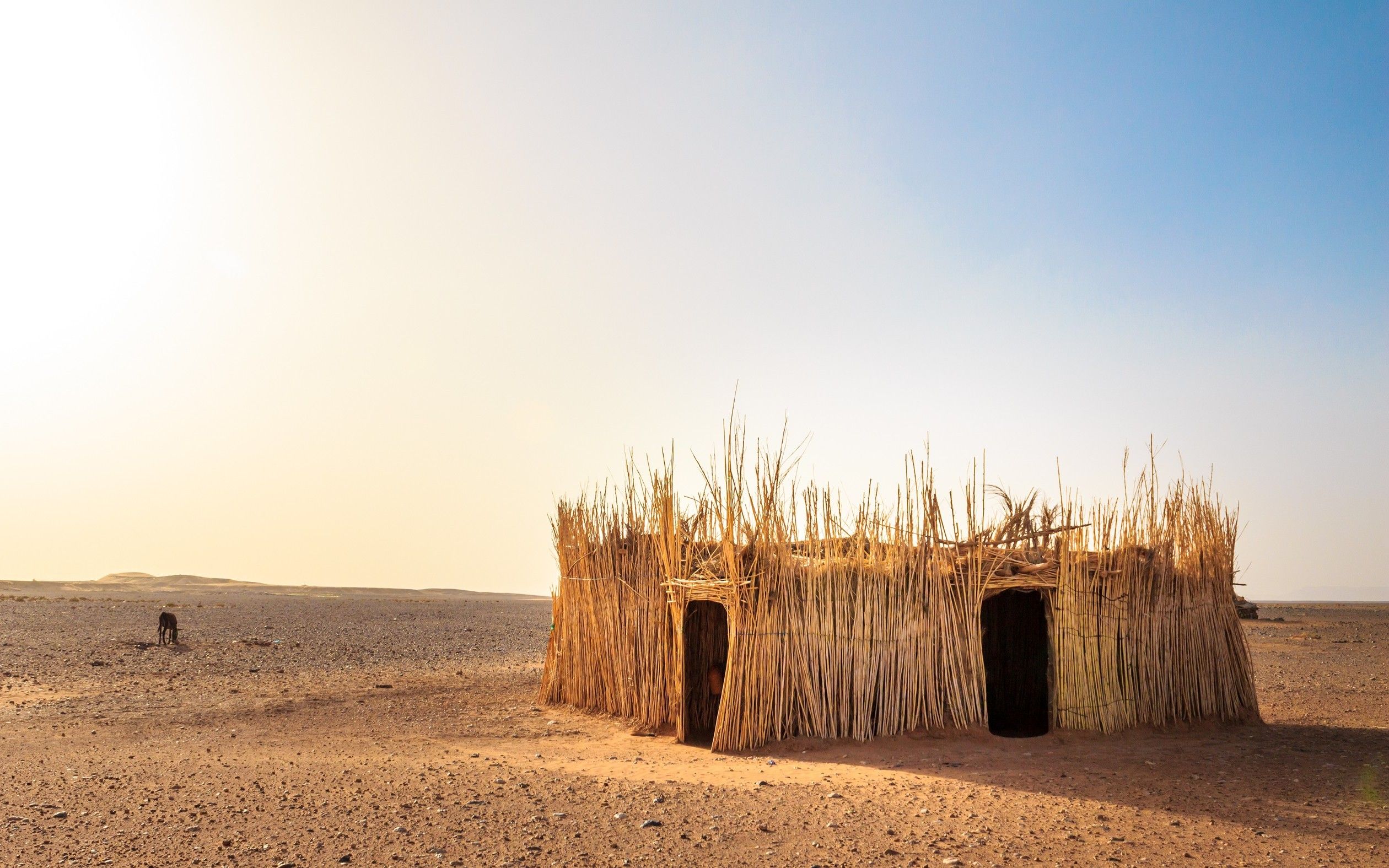 landscape, Sahara, Desert Wallpaper HD / Desktop and Mobile Background