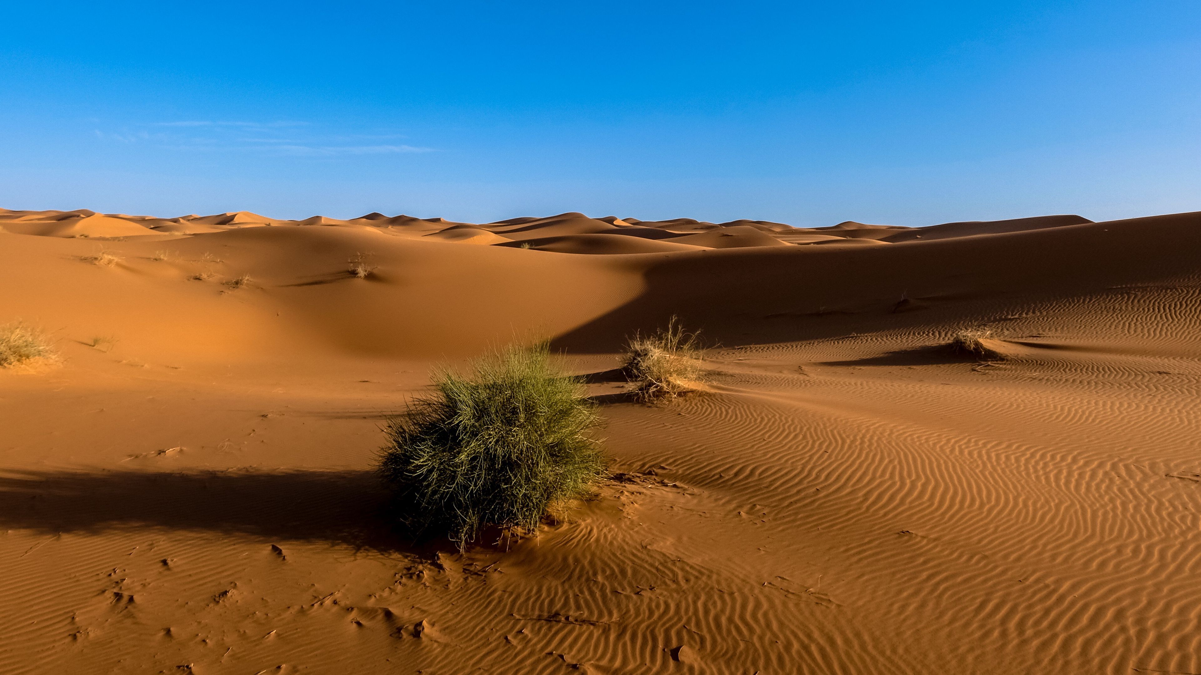 Download wallpaper 3840x2160 sahara, desert, sand, sky 4k uhd 16:9 HD background