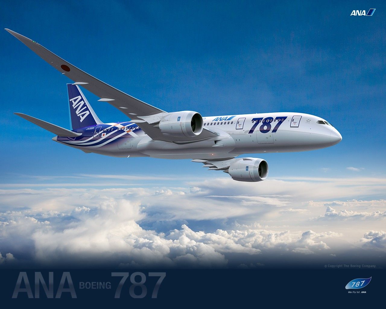 ANA All Nippon Airways Boeing Dreamliner wallpaper 30567