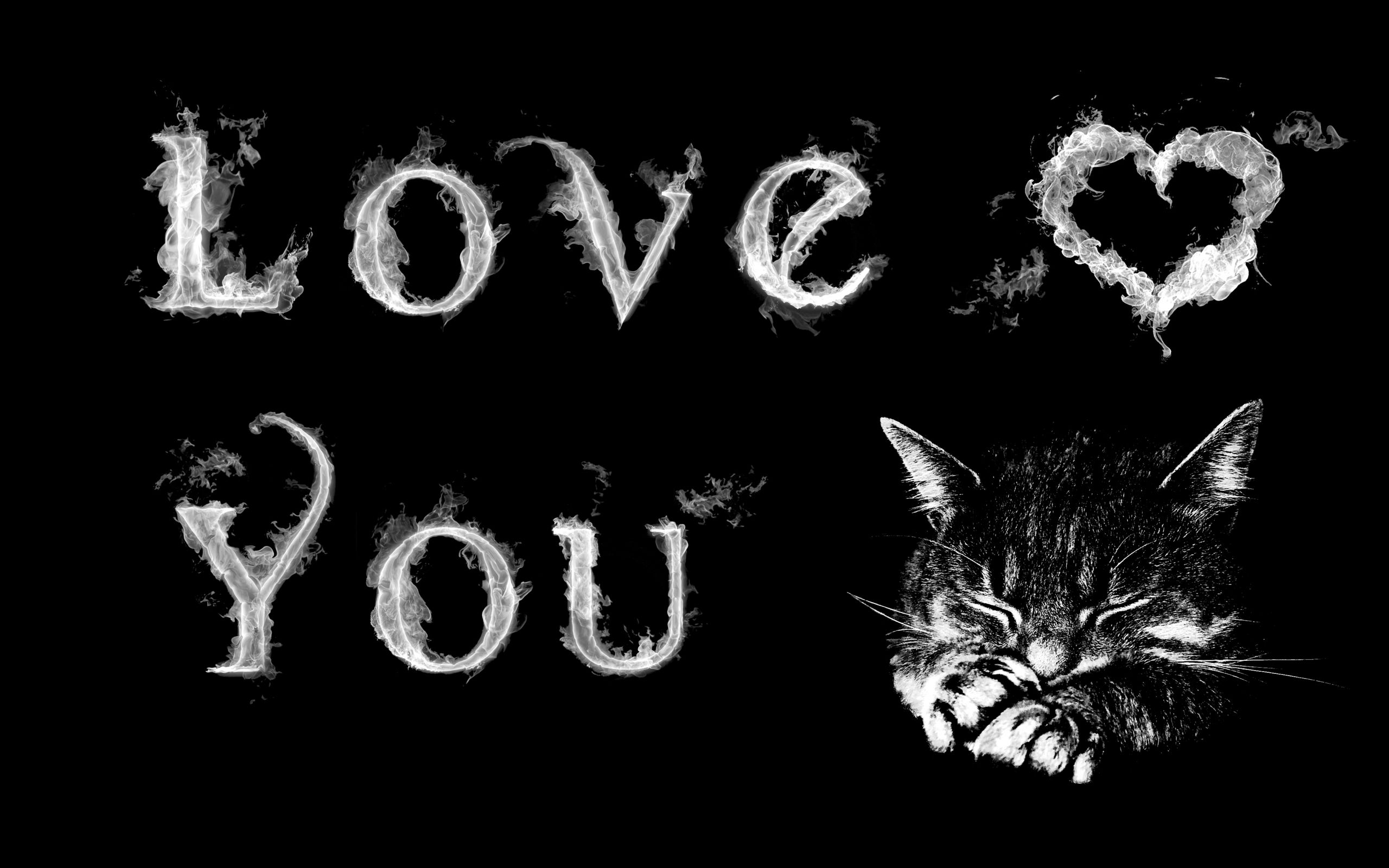 I Love Kittens Wallpapers Wallpaper Cave