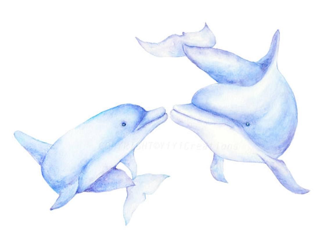 Watercolor Hand Painted Sea Creature Dolphins Clipart Mom And. Etsy. Dolphin Clipart, Dolphins, Cartoon Dolphin