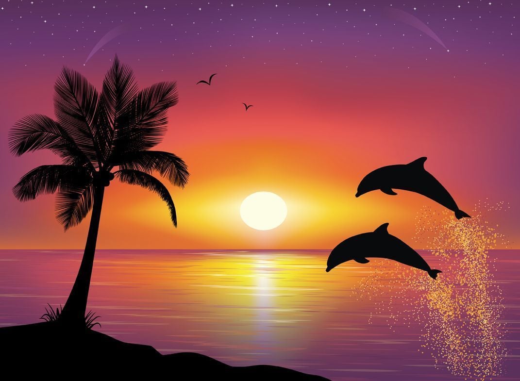 Dolphin Sunset Wallpaper Free Dolphin Sunset Background