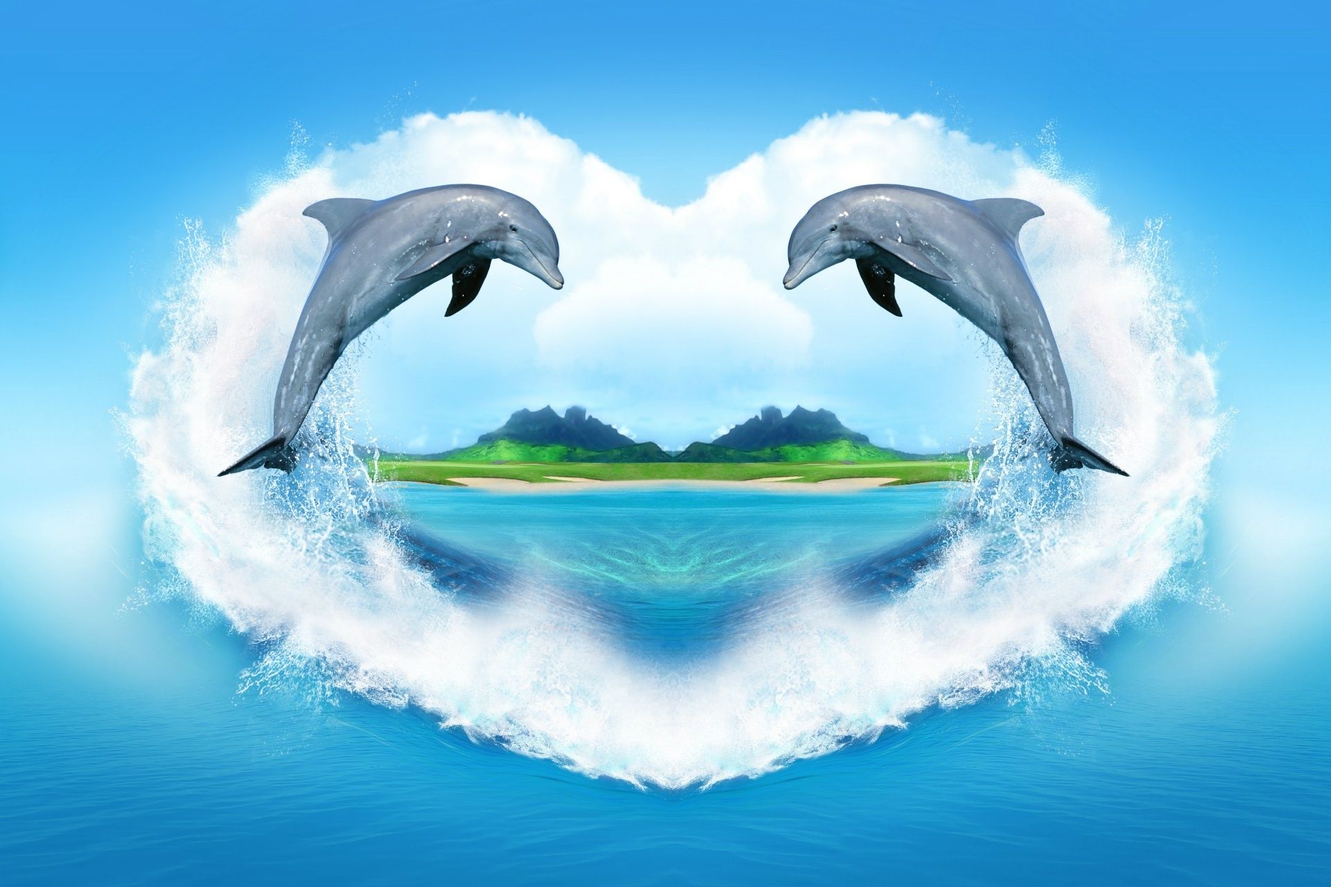 Dolphin Background