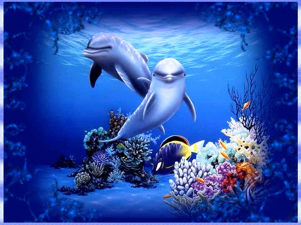 Free Animated Dolphin Wallpaper Desktop