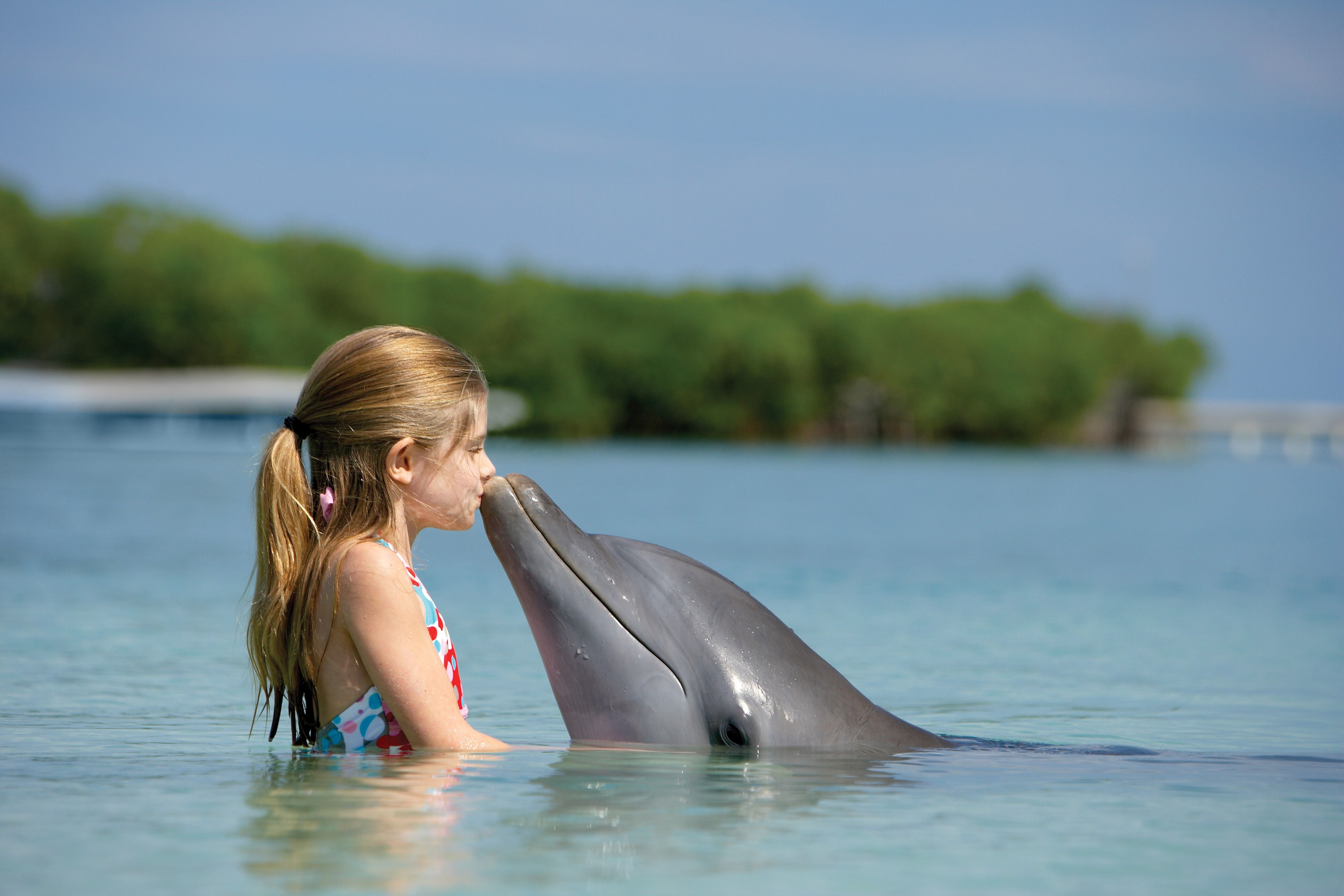 nature, love, dolphins, children wallpaper