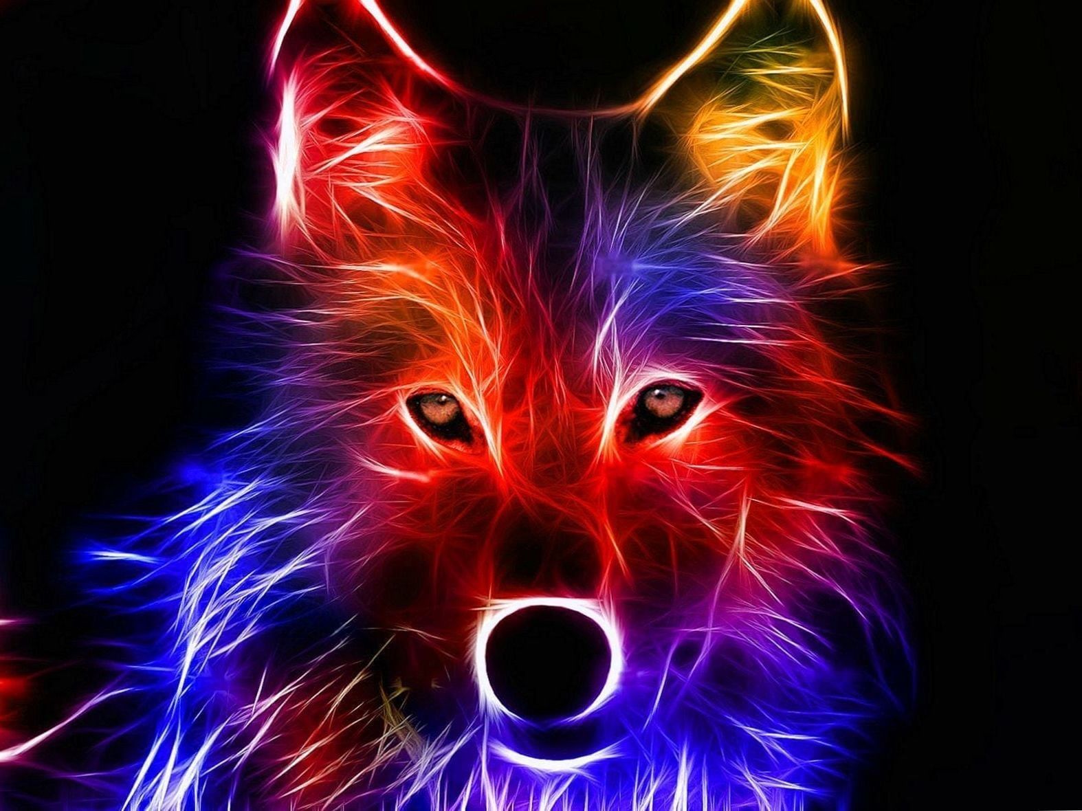 Cool Wolf Wallpaper Light Wallpaper.Pro