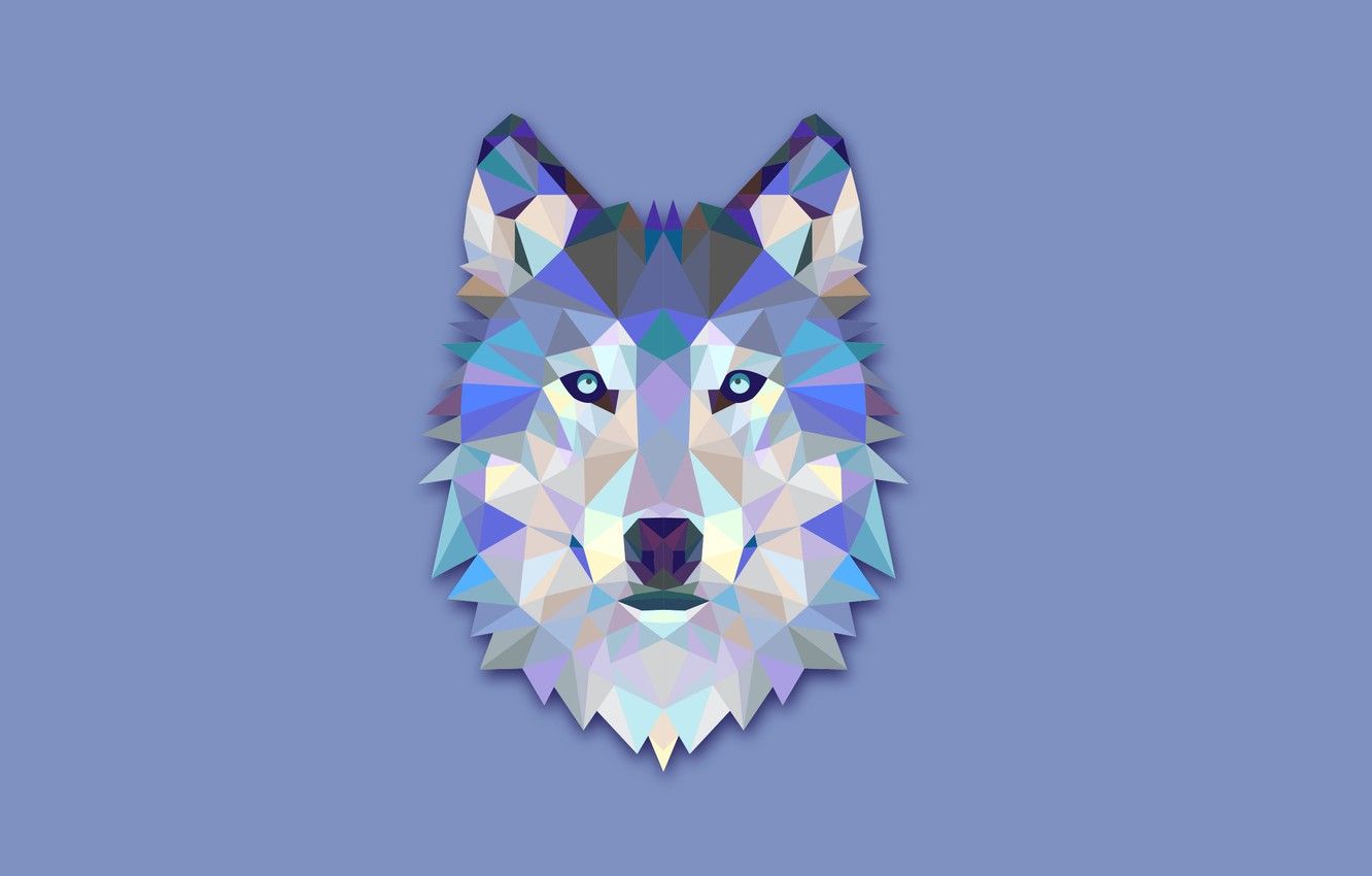 Wallpaper abstraction, wolf, minimalism, head, light background, wolf image for desktop, section минимализм