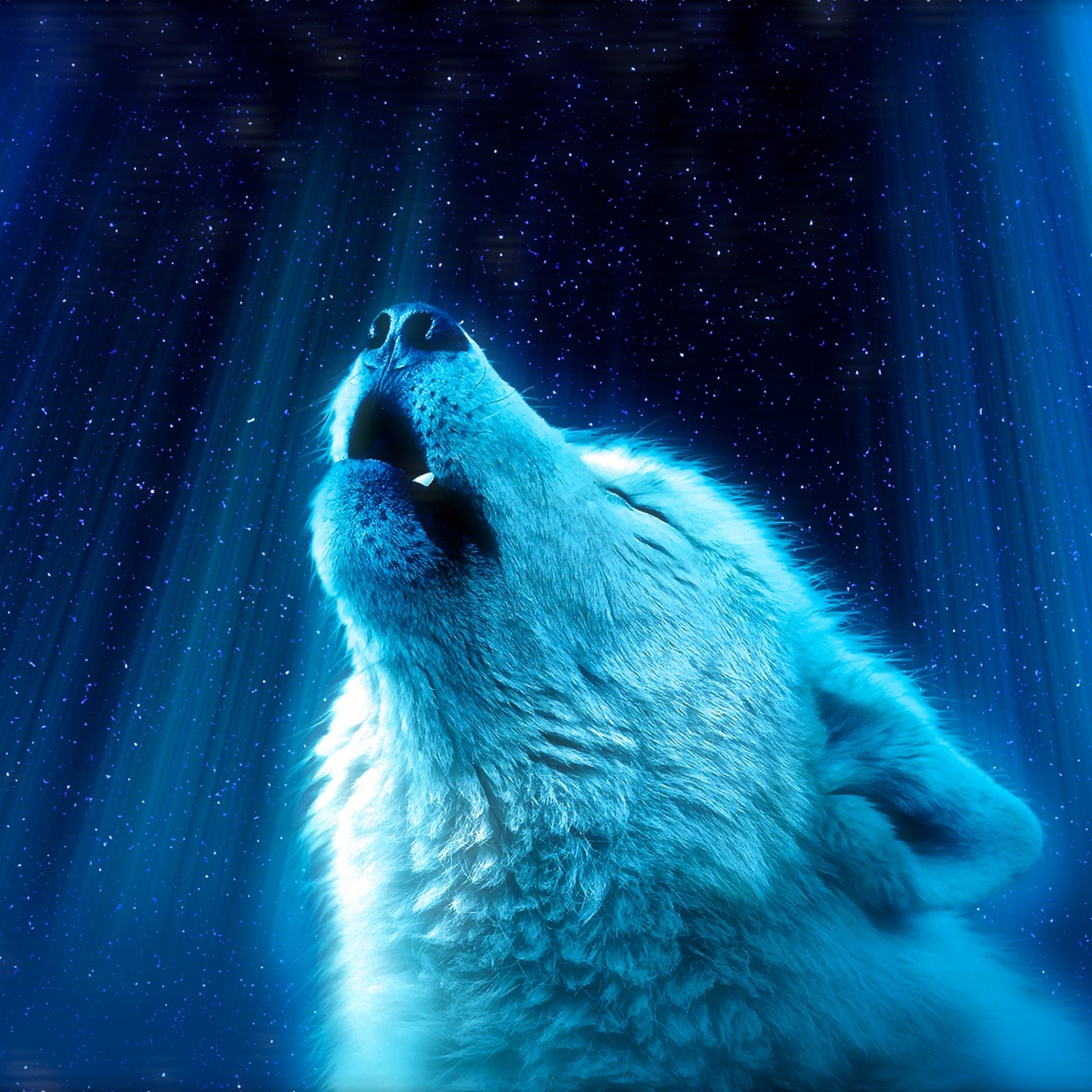Wallpaper Wolf, Fantasy, Light, Heaven, 4K, Animals,. Wallpaper for iPhone, Android, Mobile and Desktop