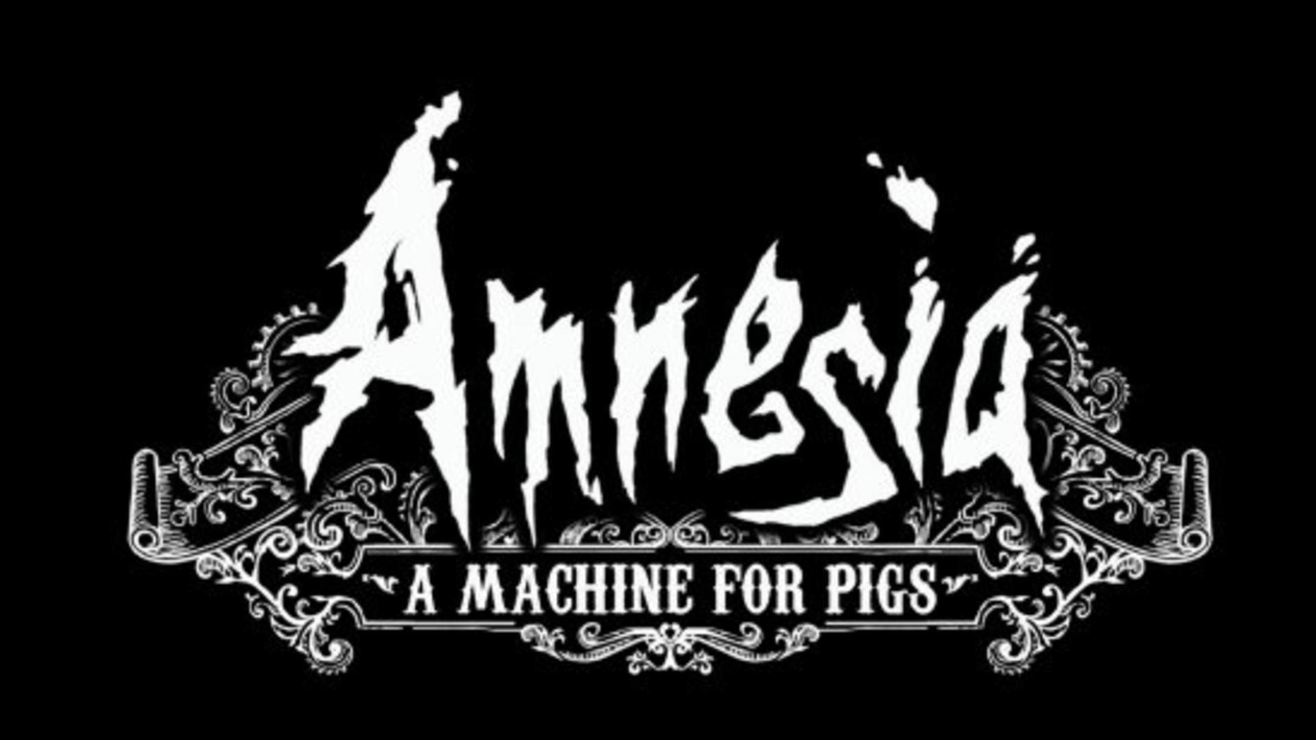 Wot I Think: Amnesia