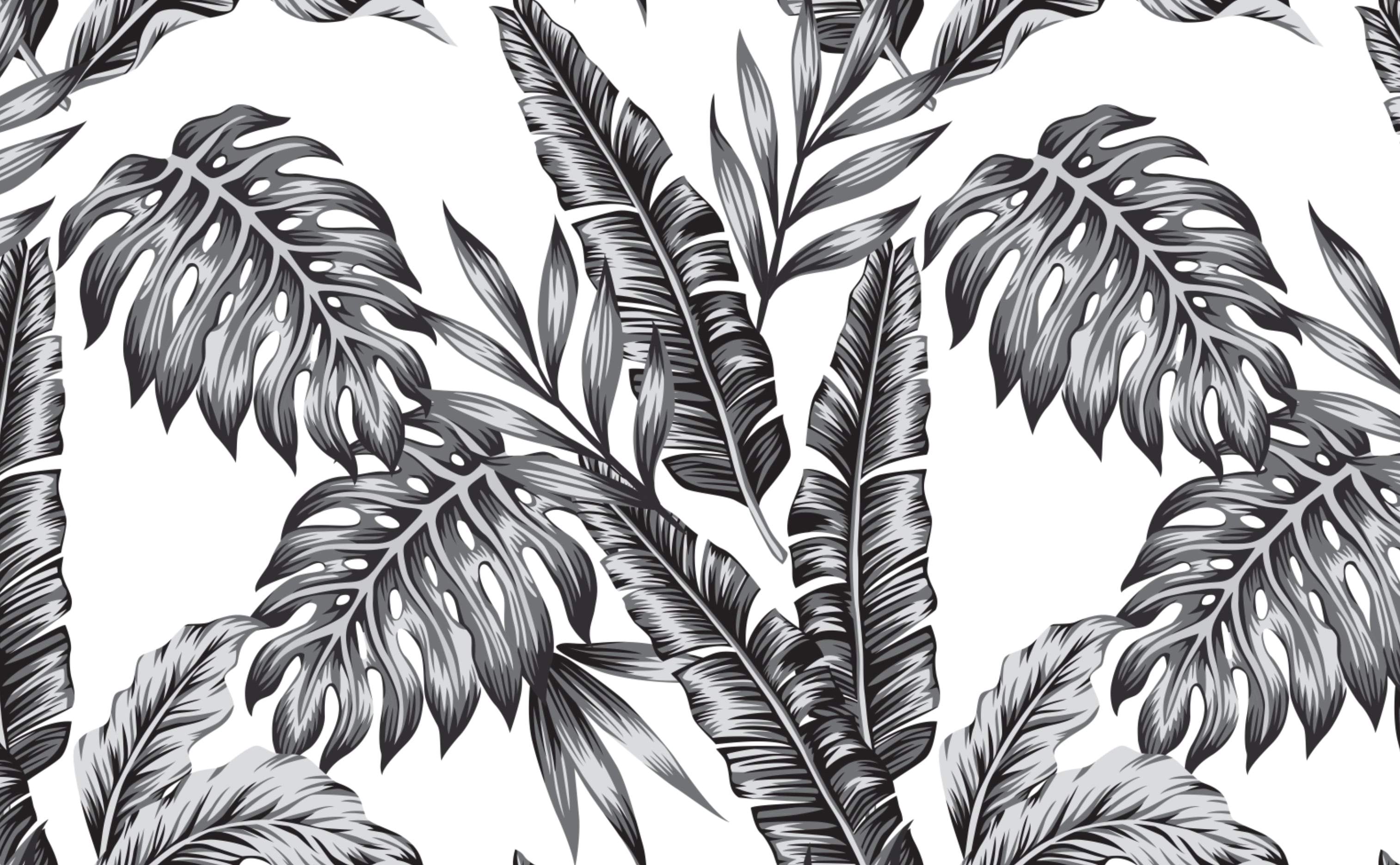 Palm Leaves Tropical Wallpaper for Walls. Retro Palms Black