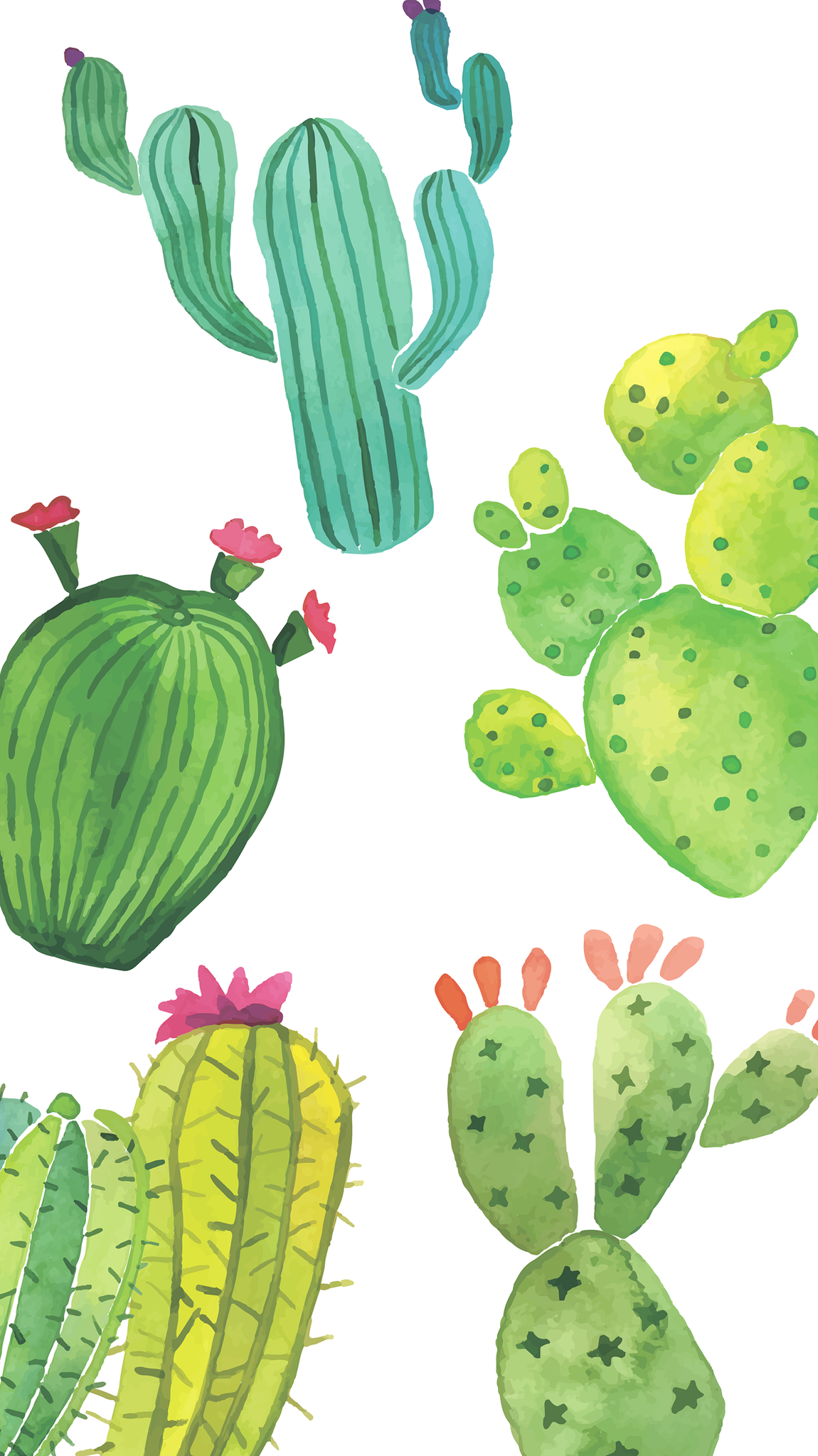 Cute Cactus Wallpaper