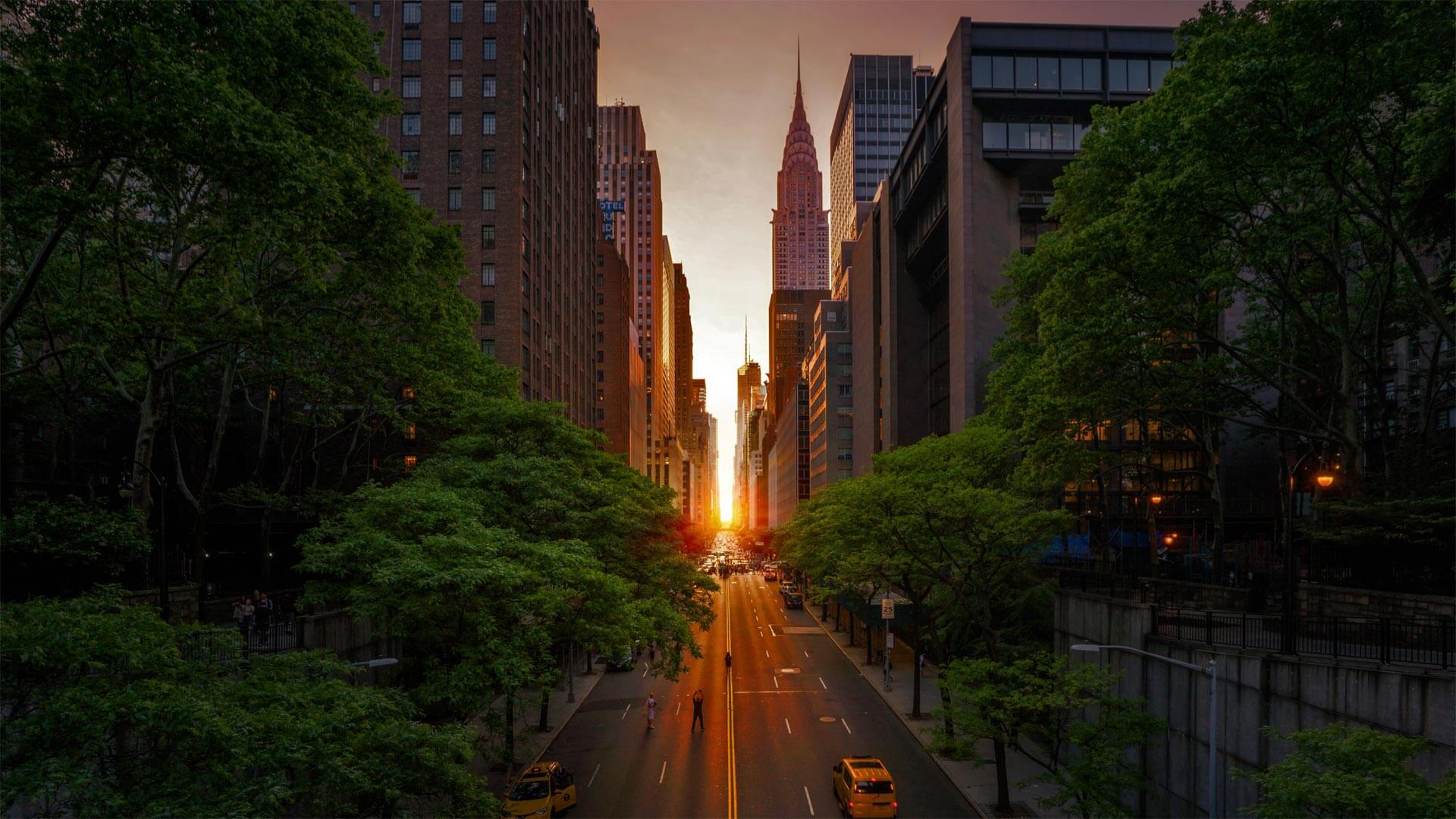 A New York City Sun Sation