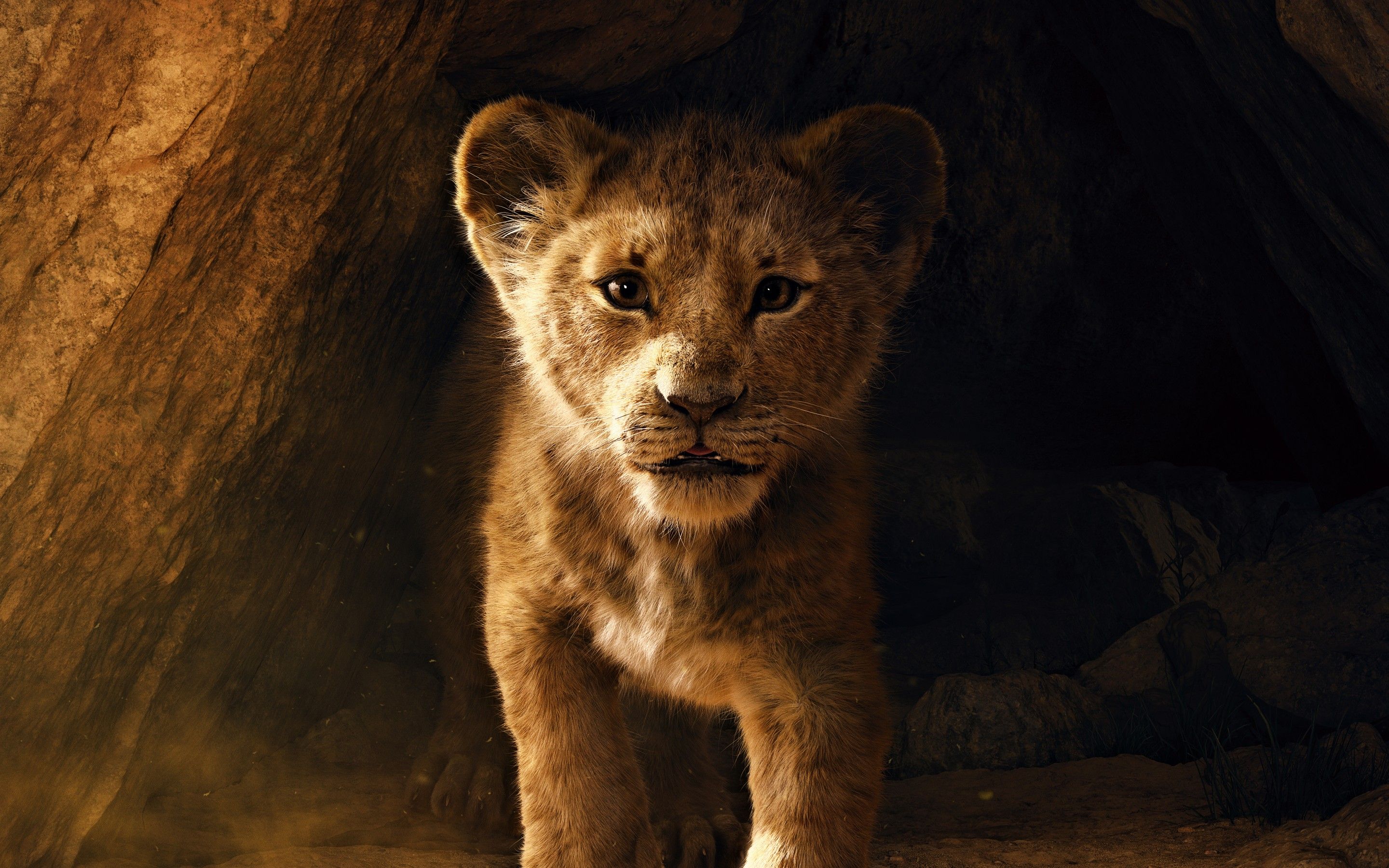 Wallpaper The Lion King, Animation, 2019, HD, 5K, Movies,. Wallpaper for iPhone, Android, Mobile and Desktop