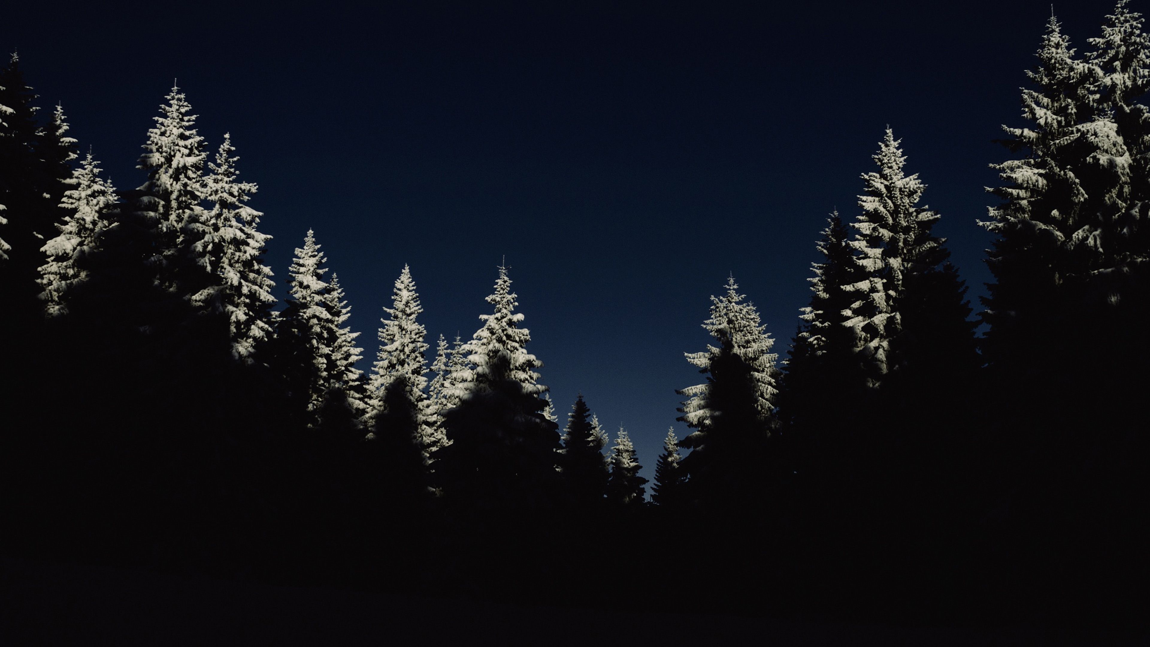 Wood Winter Night Mountain Minimal Wallpaper