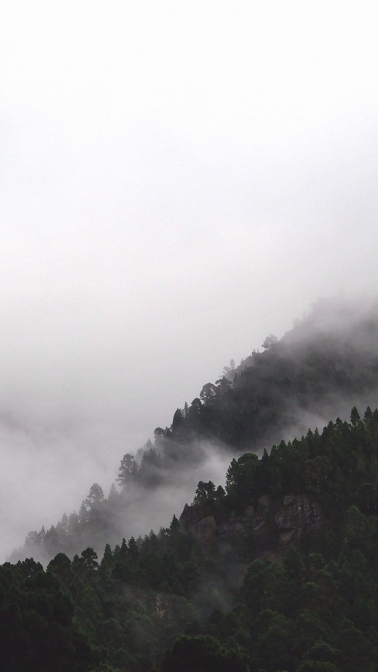 Bringing The Forest To You With 9 Free iPhone X Wallpaper