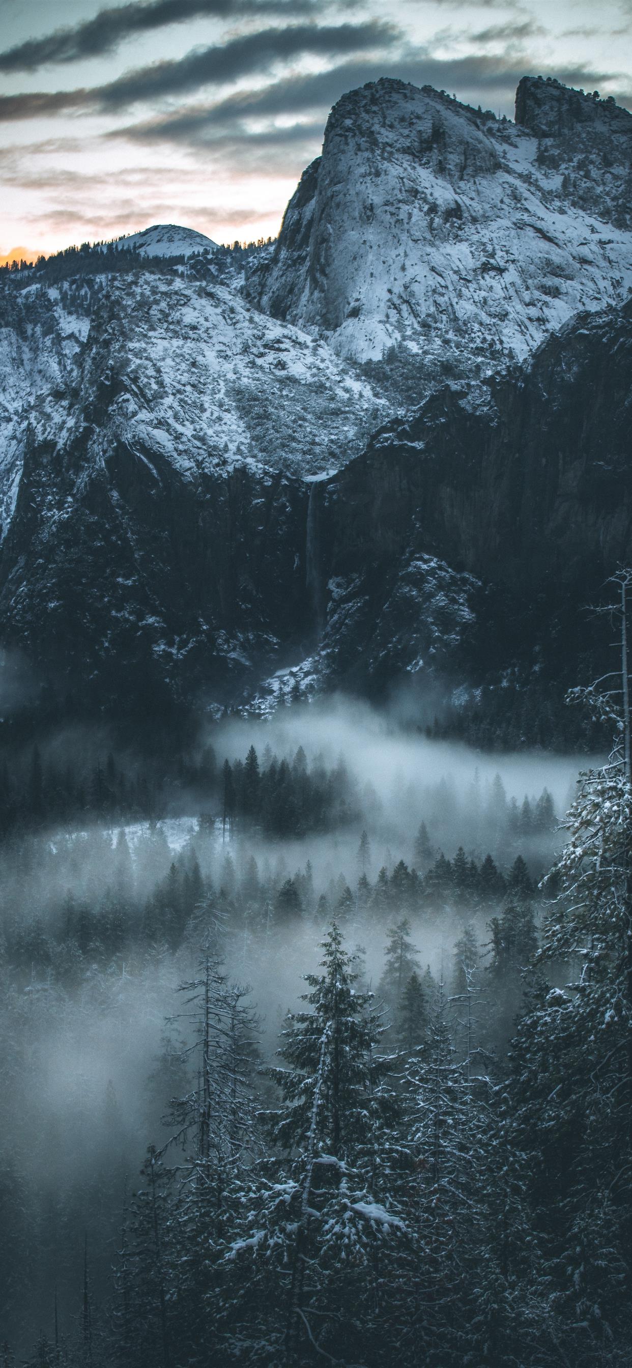 fog covered forest iPhone X Wallpaper Free Download