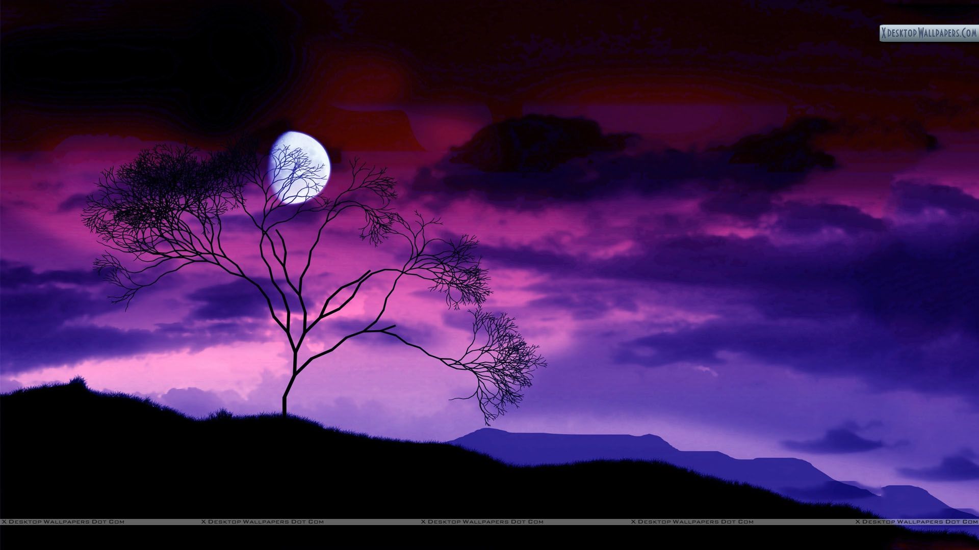 Colorful Night Scene With Moon Wallpaper