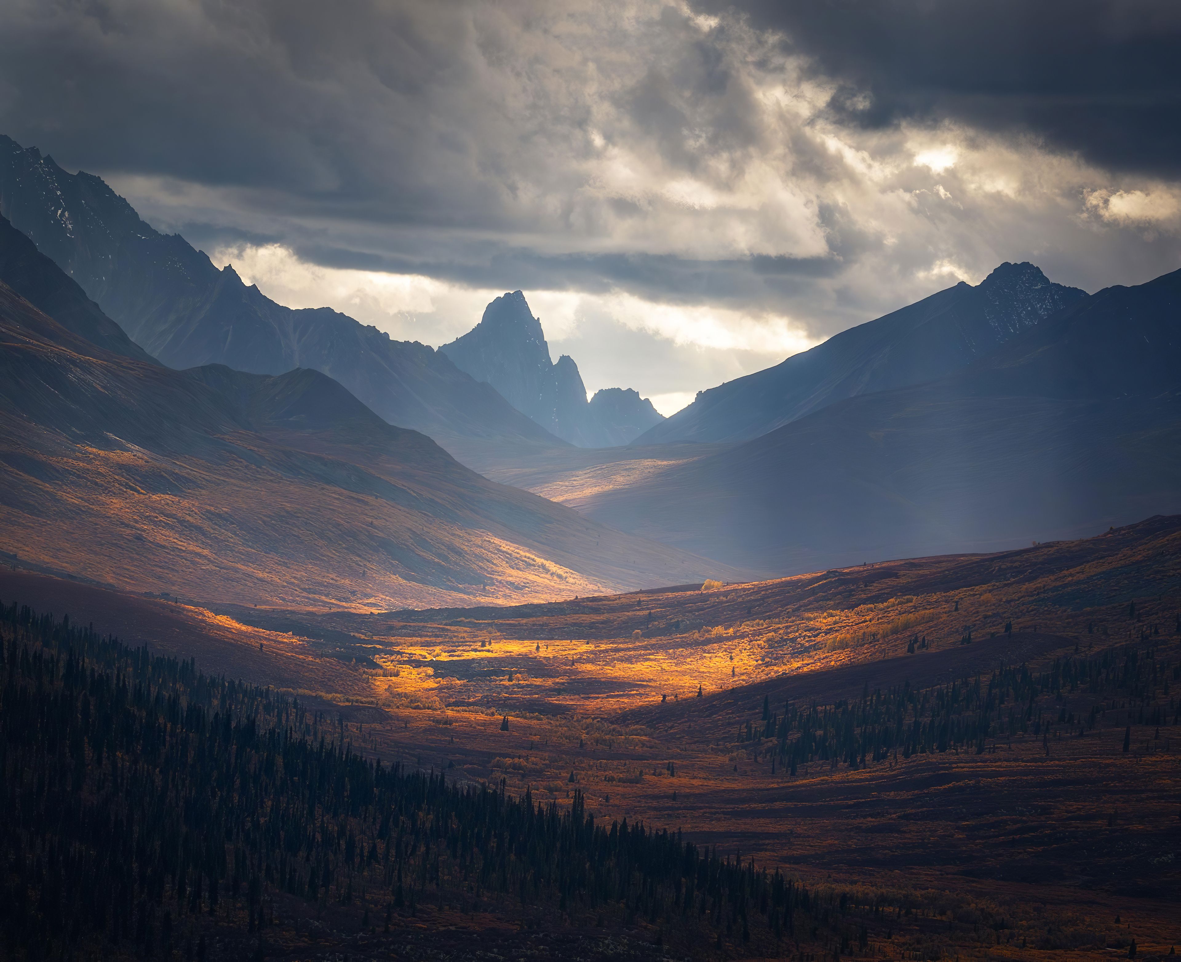 Autumn In The Yukon 4k, HD Nature, 4k Wallpaper, Image, Background, Photo and Picture