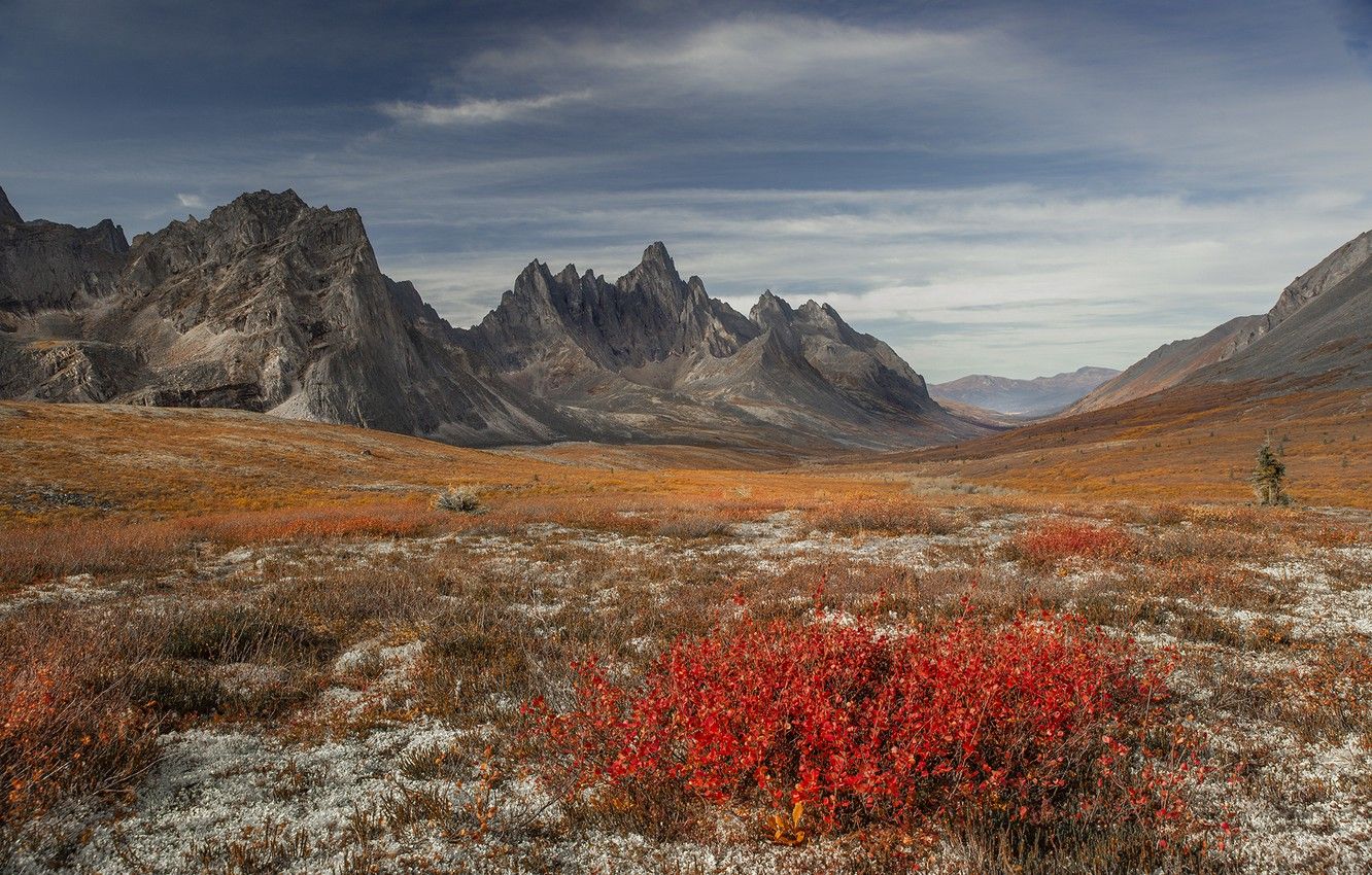 Wallpaper autumn, landscape, mountains, nature, vegetation, valley, Canada, Yukon image for desktop, section пейзажи