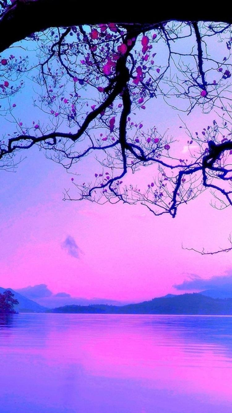 Blue and Purple sunset