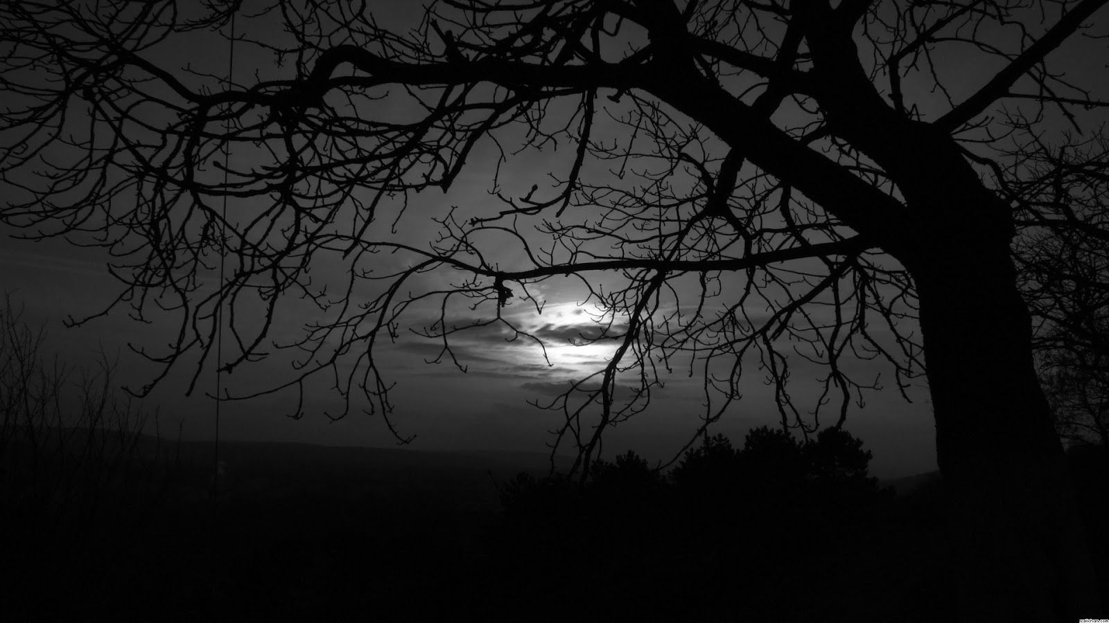 Dim Dark Moon Tree 1510 - Dark Moon HD Wallpaper