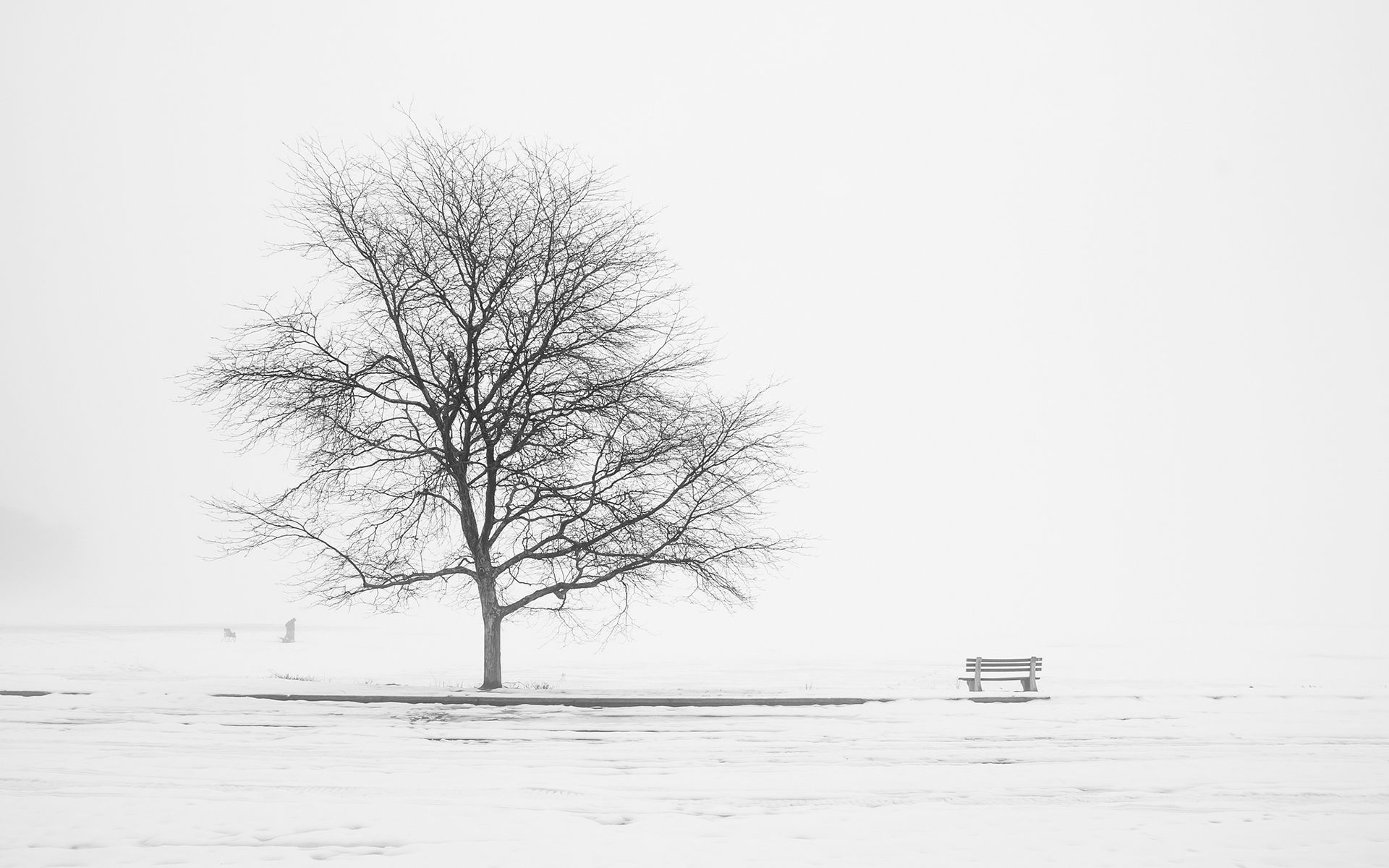 Bench Tree Field Snowy Mood desktop PC and Mac wallpaper