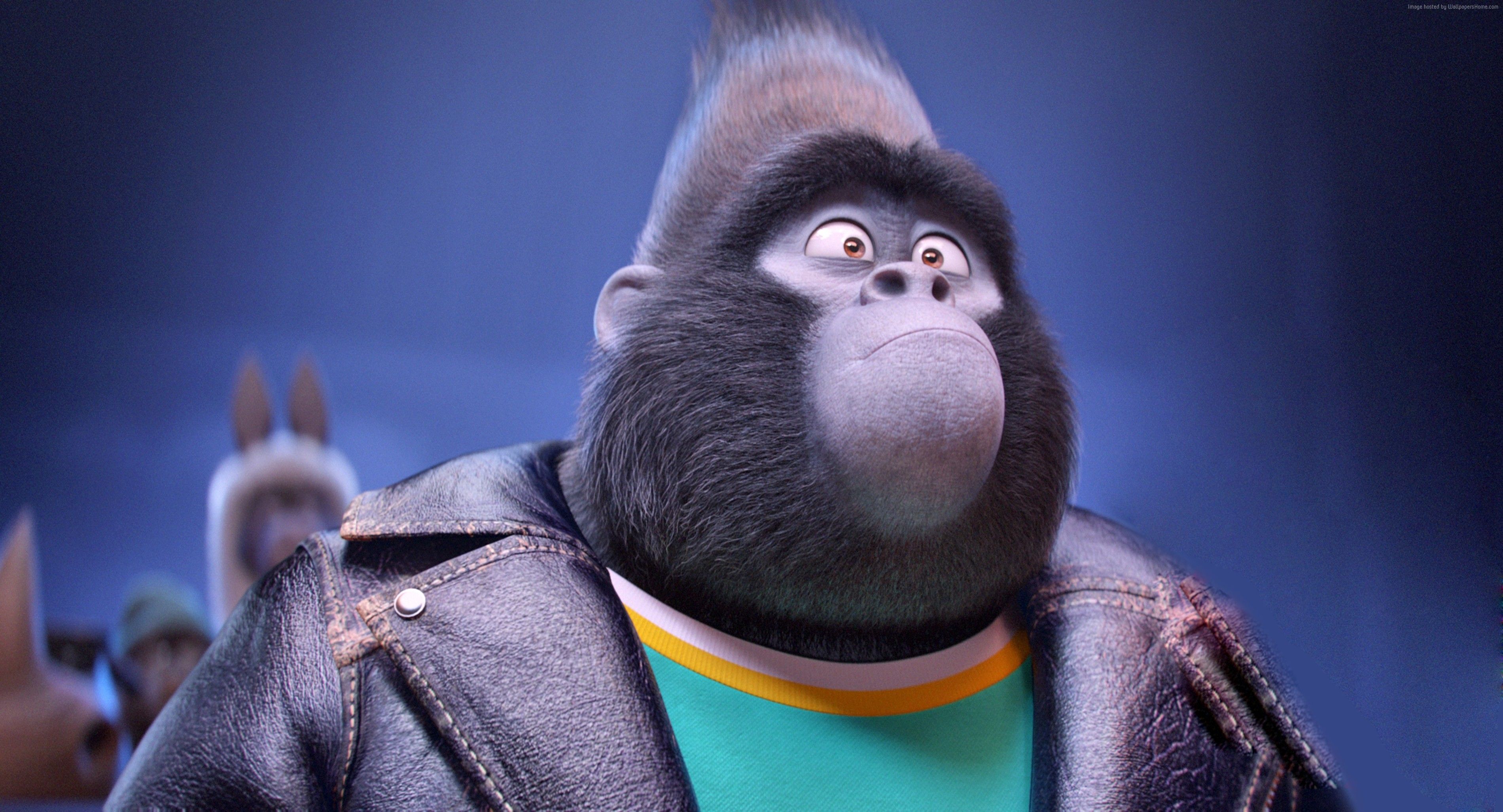 #Sing, #johnny, #taron egerton, #best animation movies of #gorilla. Mocah.org HD Desktop Wallpaper