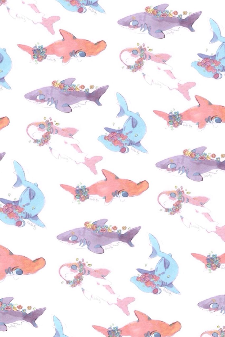 Cute Shark Wallpapers - Wallpaper Cave