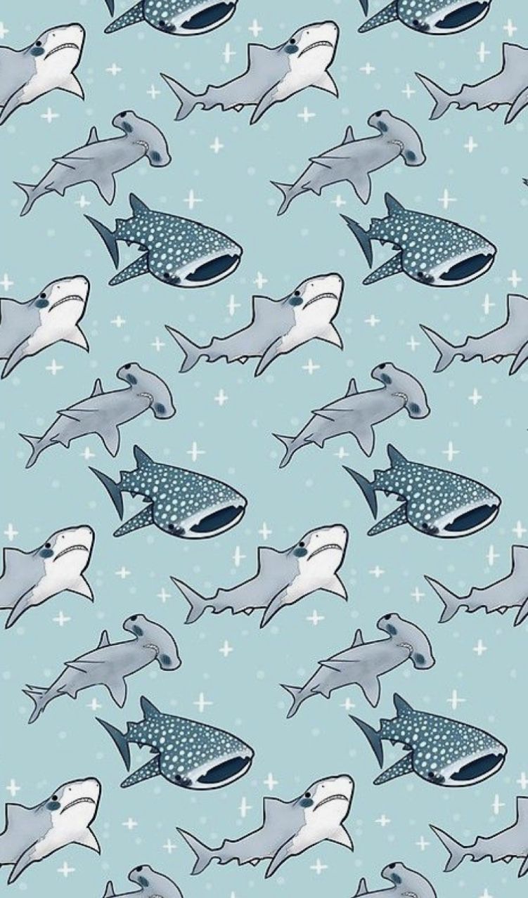 Cute sharks wallpaper by MythicalMaddness  Download on ZEDGE  5571