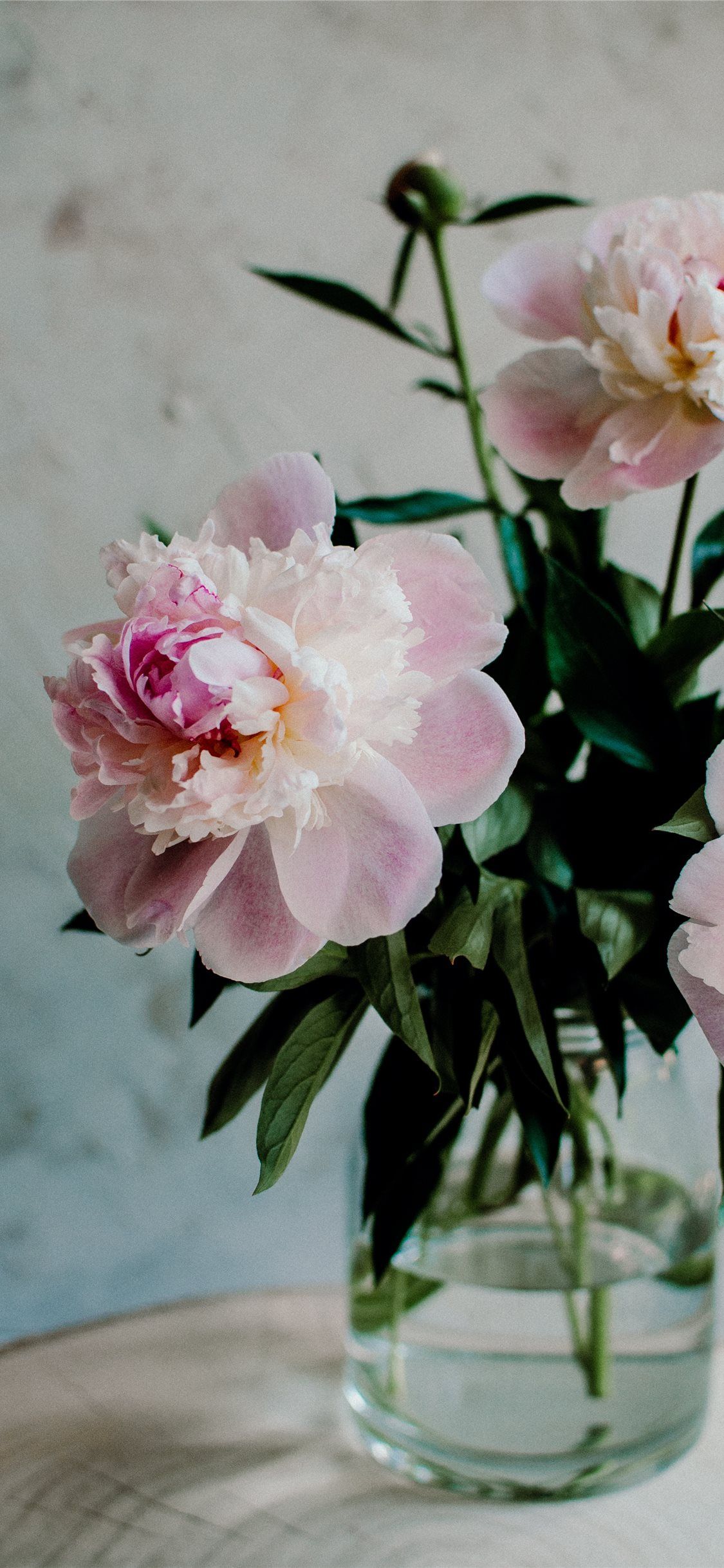 Best vintage flower iPhone X Wallpaper HD