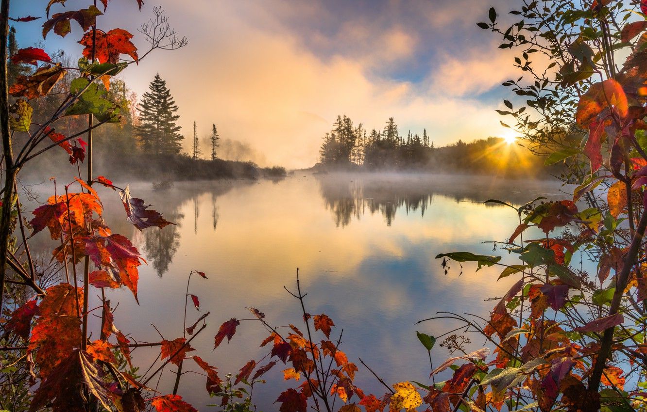 Wallpaper Autumn, RED, Lake, Forest image for desktop, section природа