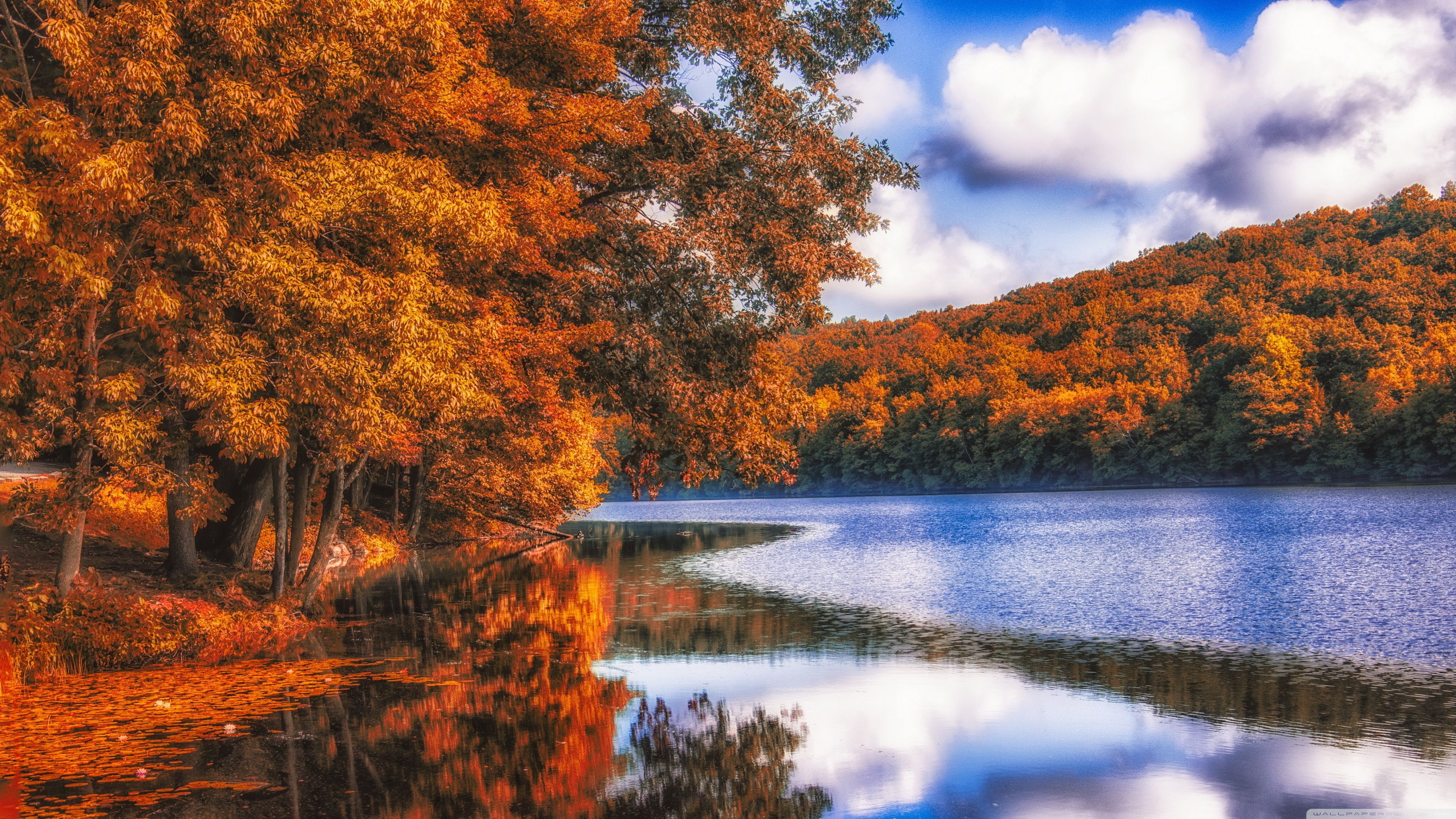 Lake, Forest, Autumn Ultra HD Desktop Background Wallpaper for 4K UHD TV, Widescreen & UltraWide Desktop & Laptop, Tablet