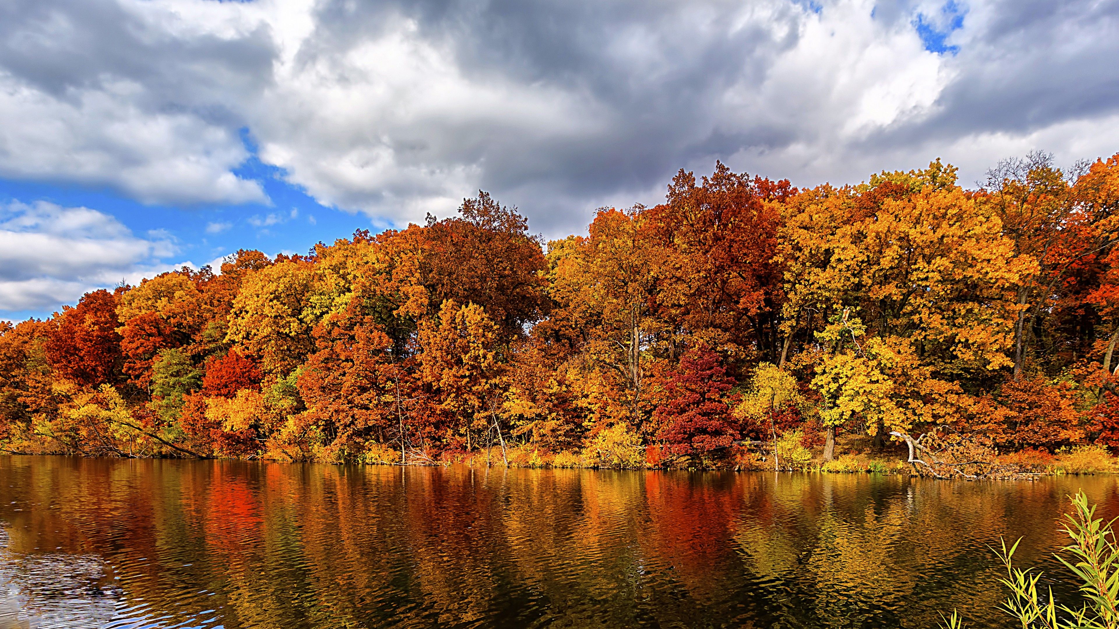 Wallpaper autumn, forest, lake, 5k, Nature