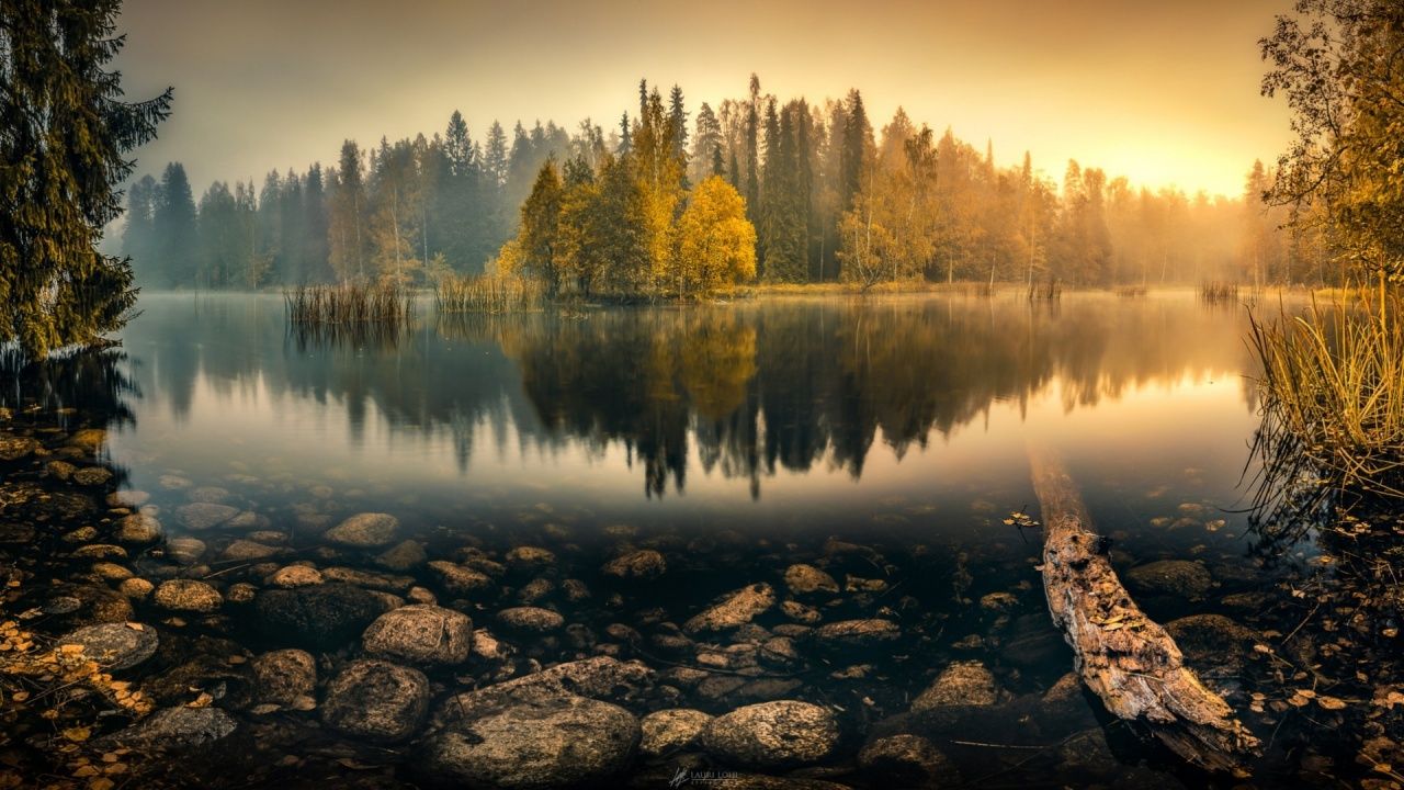 Dawn Autumn Forest Lake Wallpaper