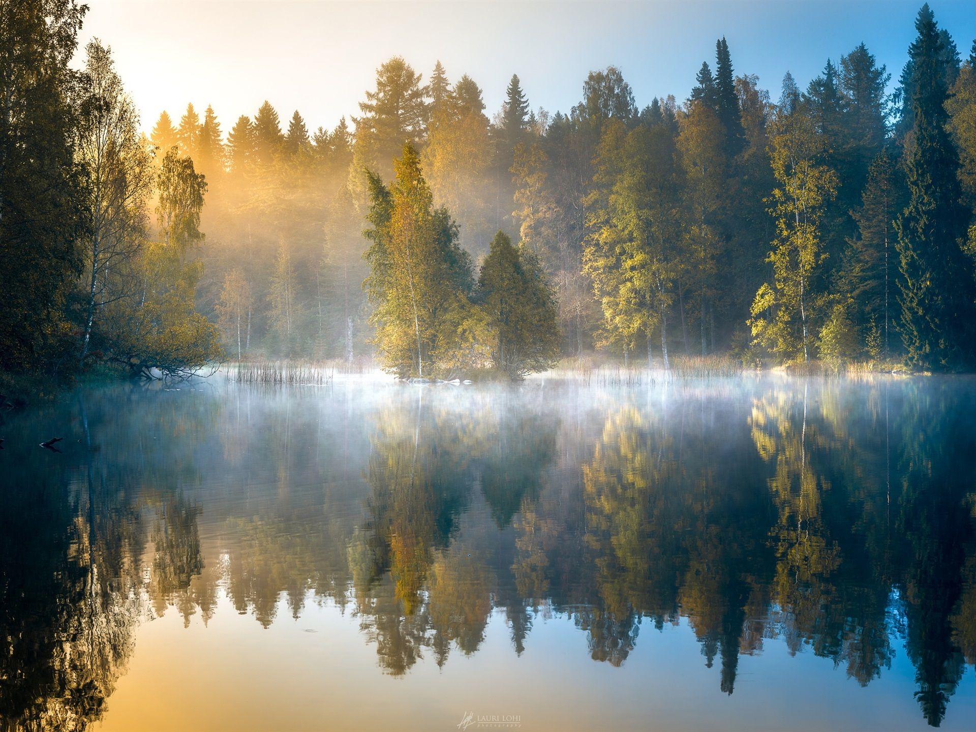 Wallpaper Morning forest, fog, lake, trees, autumn, Finland 1920x1440 HD Picture, Image