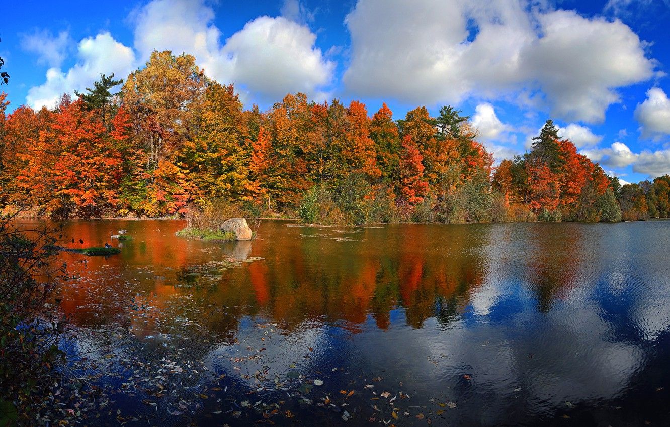 Wallpaper autumn, forest, the sky, leaves, clouds, trees, lake, paint, Canada, Ontario image for desktop, section пейзажи