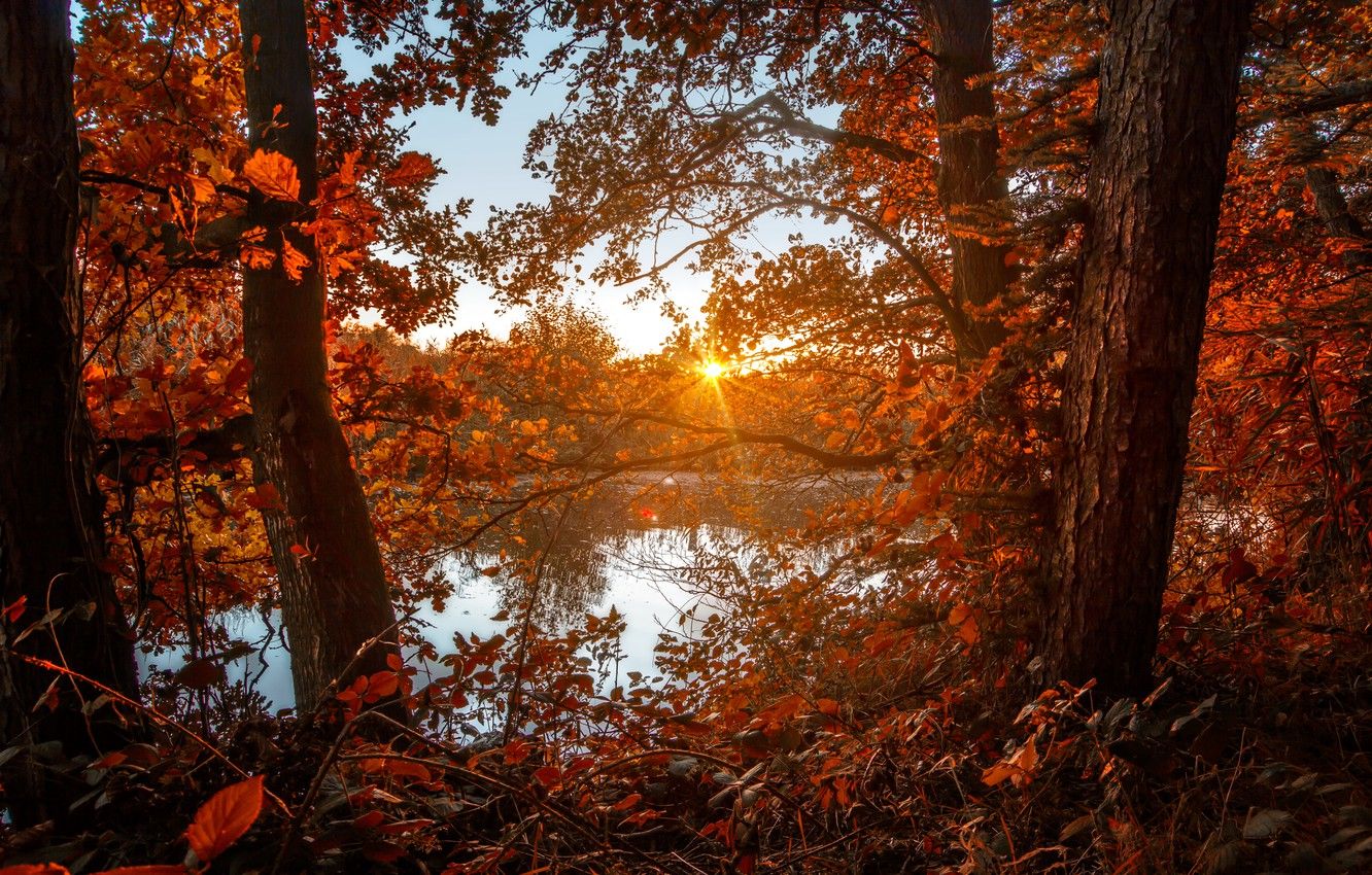 Wallpaper autumn, forest, the sun, lake, foliage, colors, forest, Autumn, lake, leaves, sun, fall image for desktop, section природа