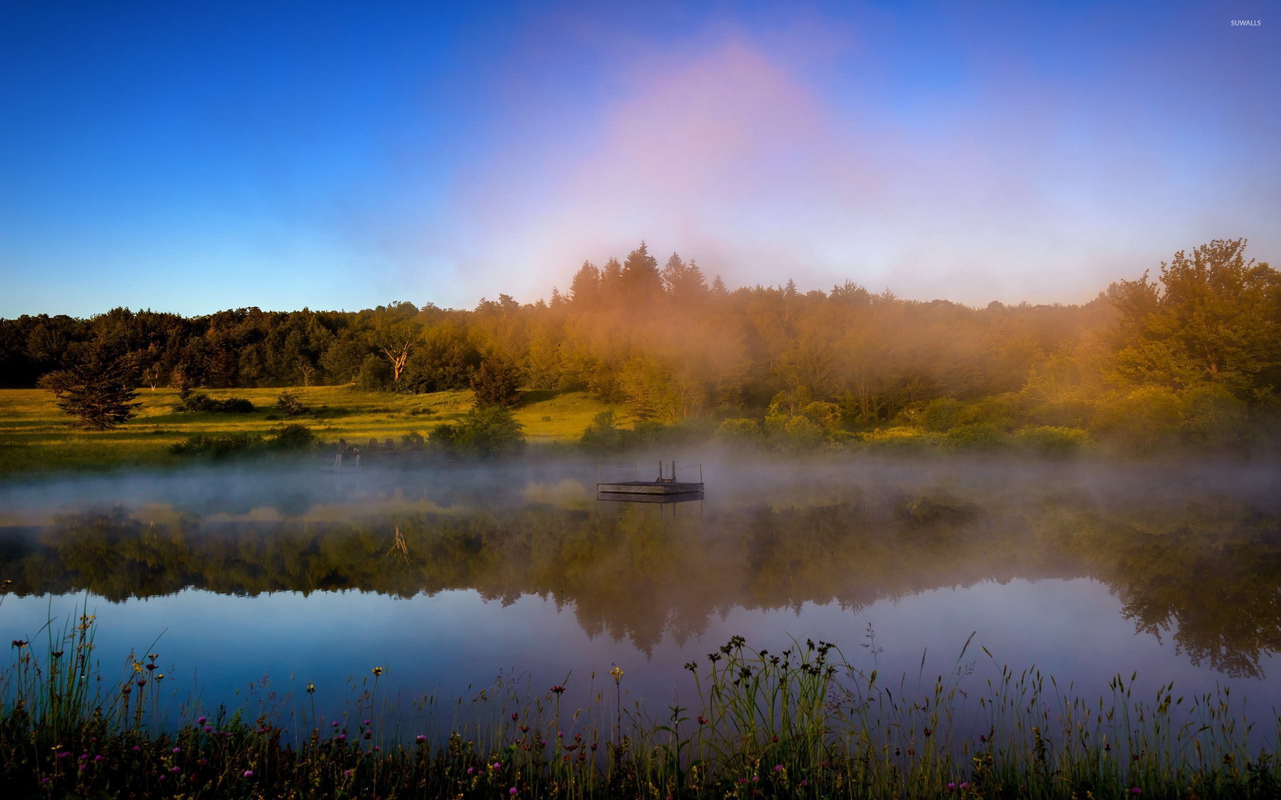 Foggy lake by the autumn forest wallpaper wallpaper