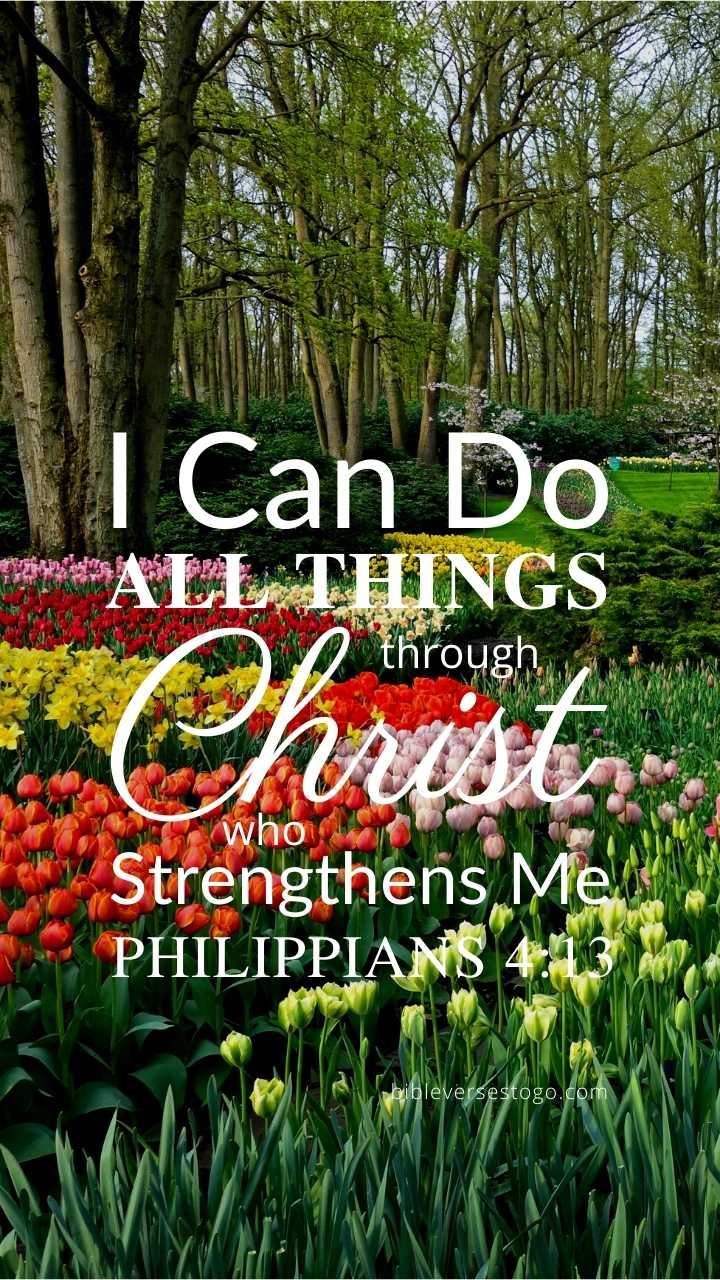 Flower Garden Phil 4:13 Phone Wallpaper Verses To Go