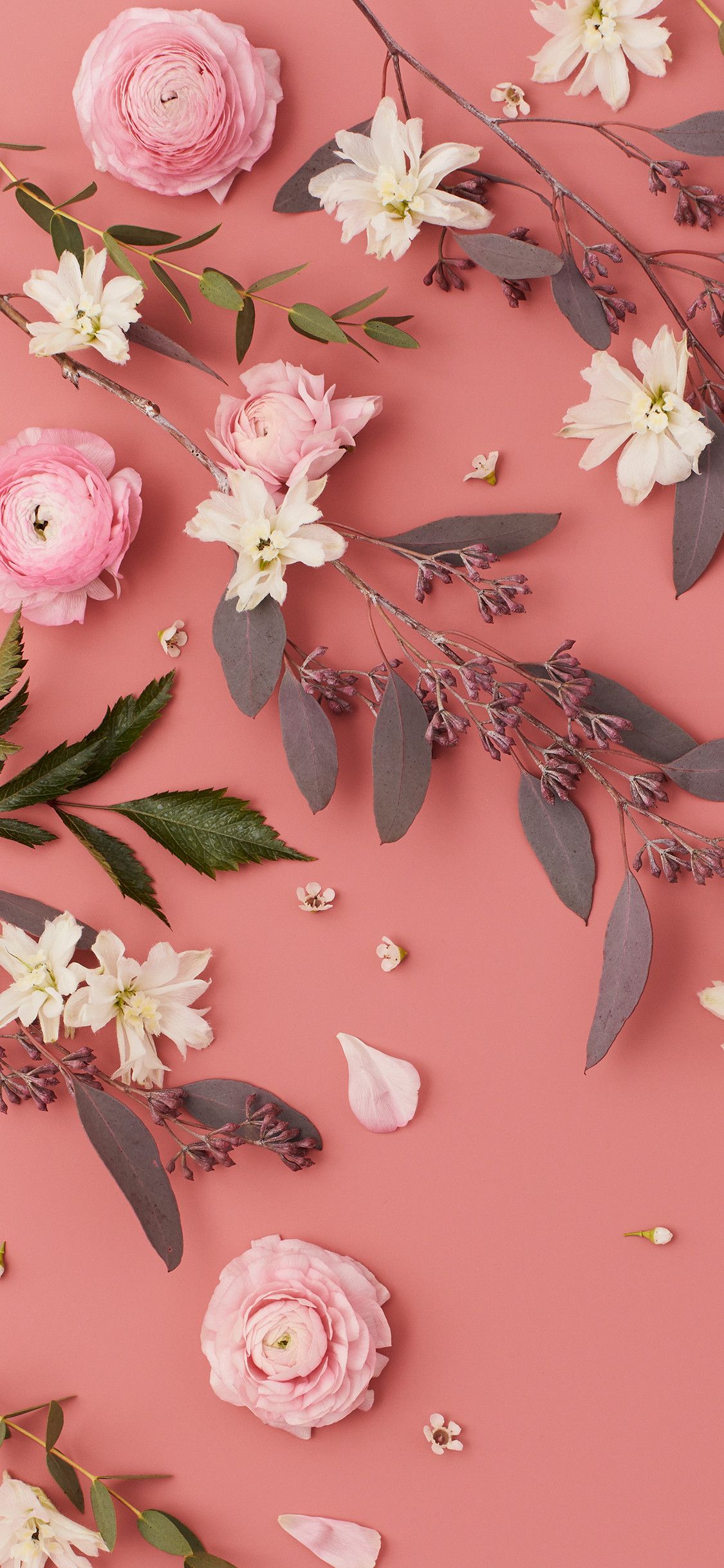 Pink flower, iPhone, Desktop HD Background / Wallpaper (1080p, 4k) (1125x2436) (2020)